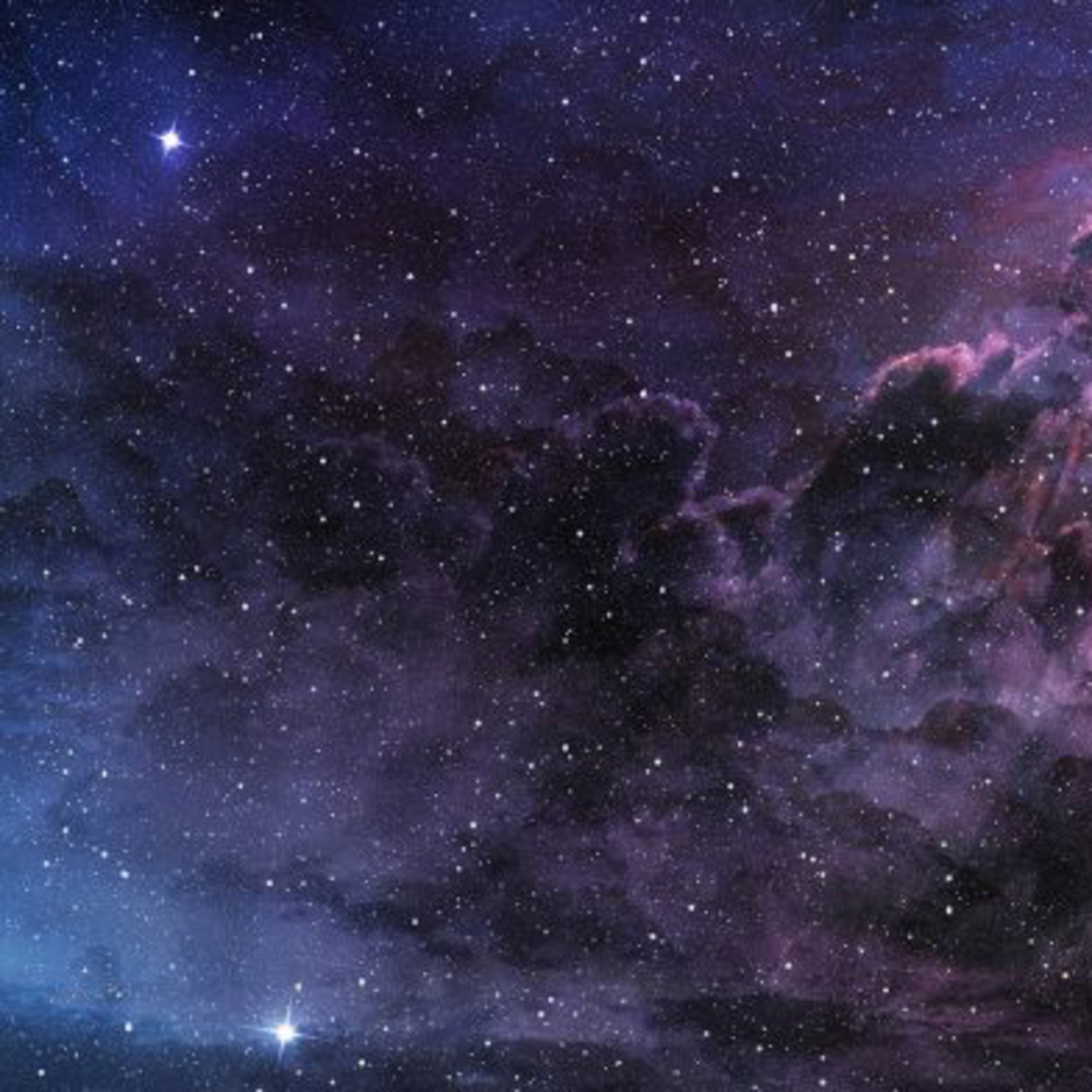 They’re Made out of Meat: Discussion with Mia Demirdal and Madeleine Cook