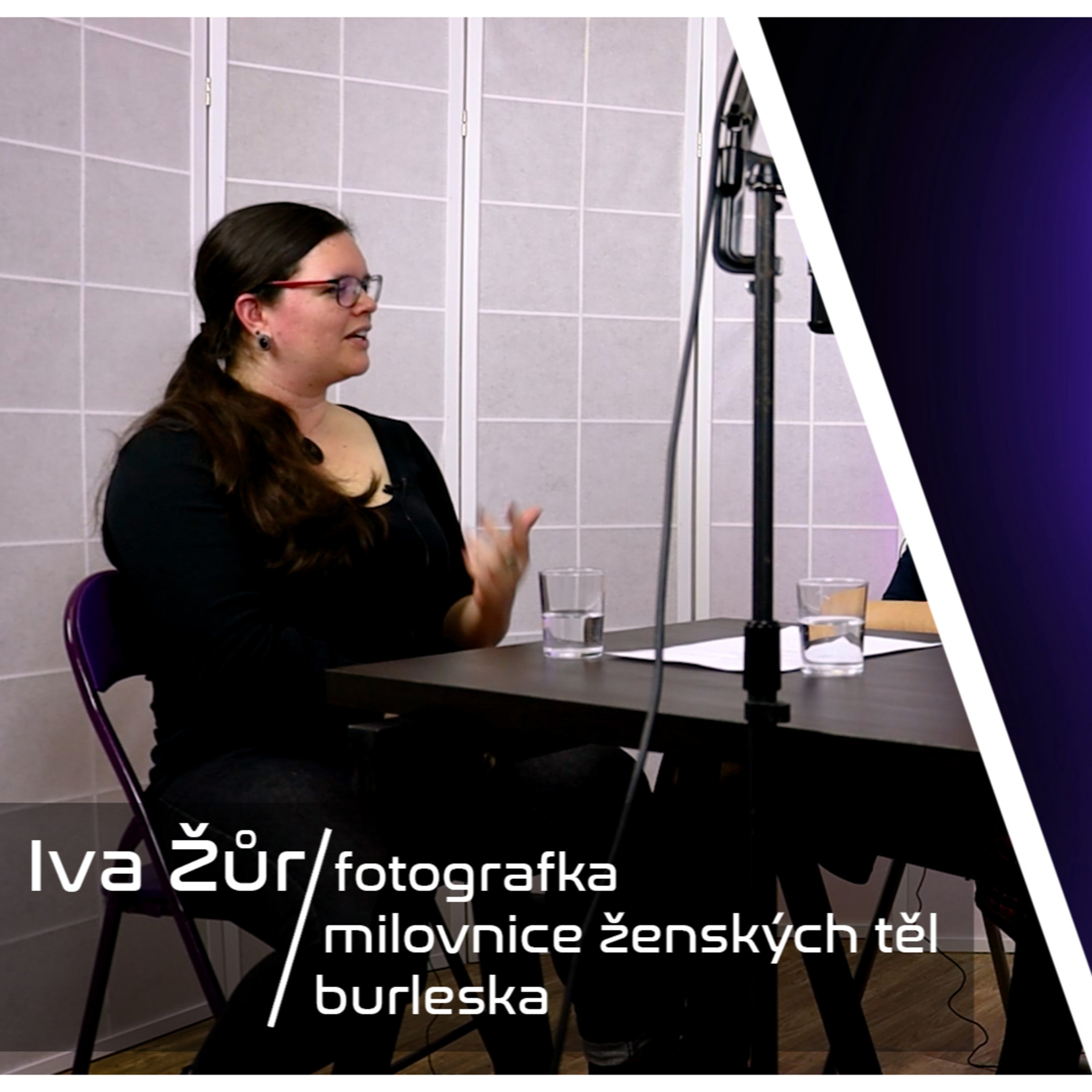 Krysí doupě