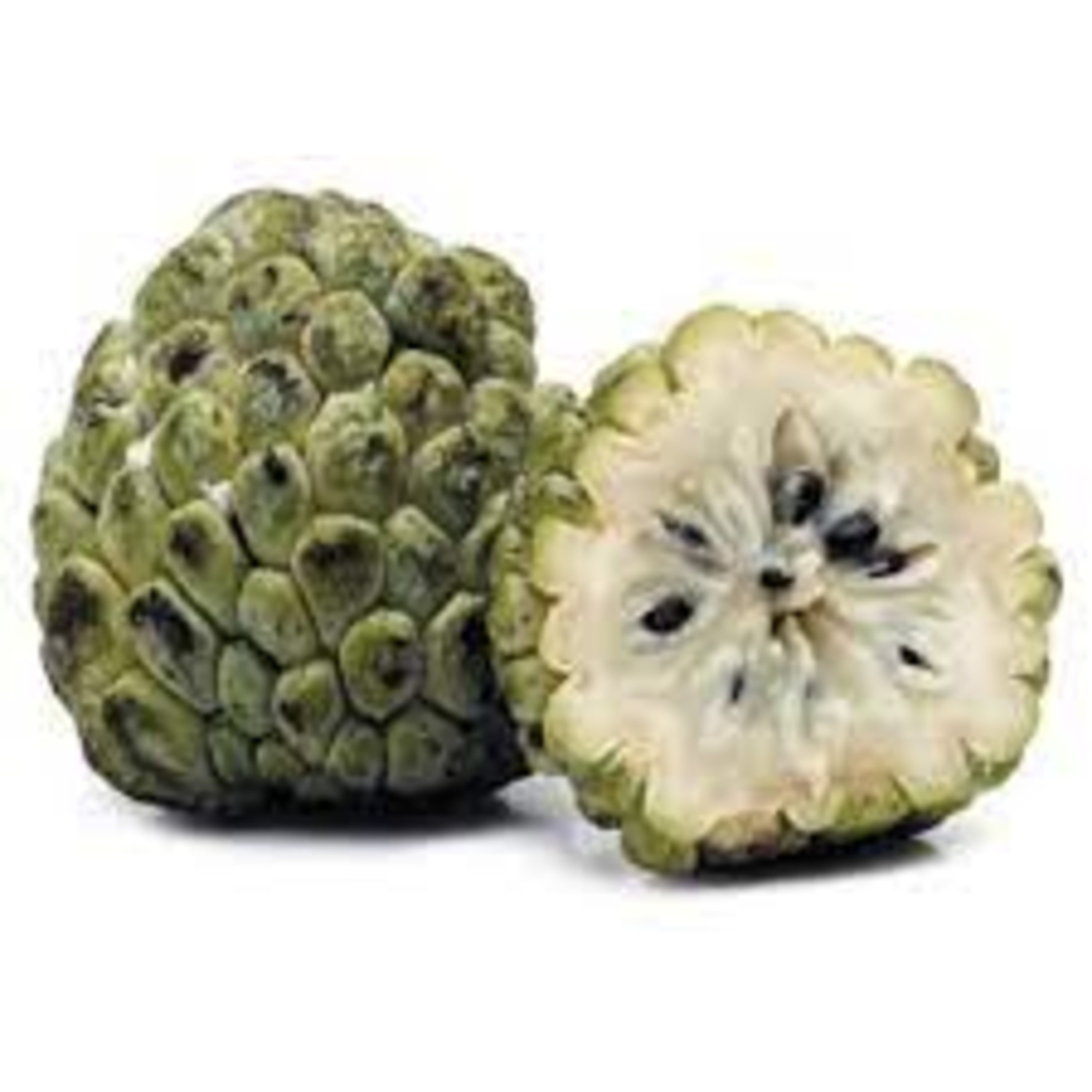 Podcast do Programa Cultivar