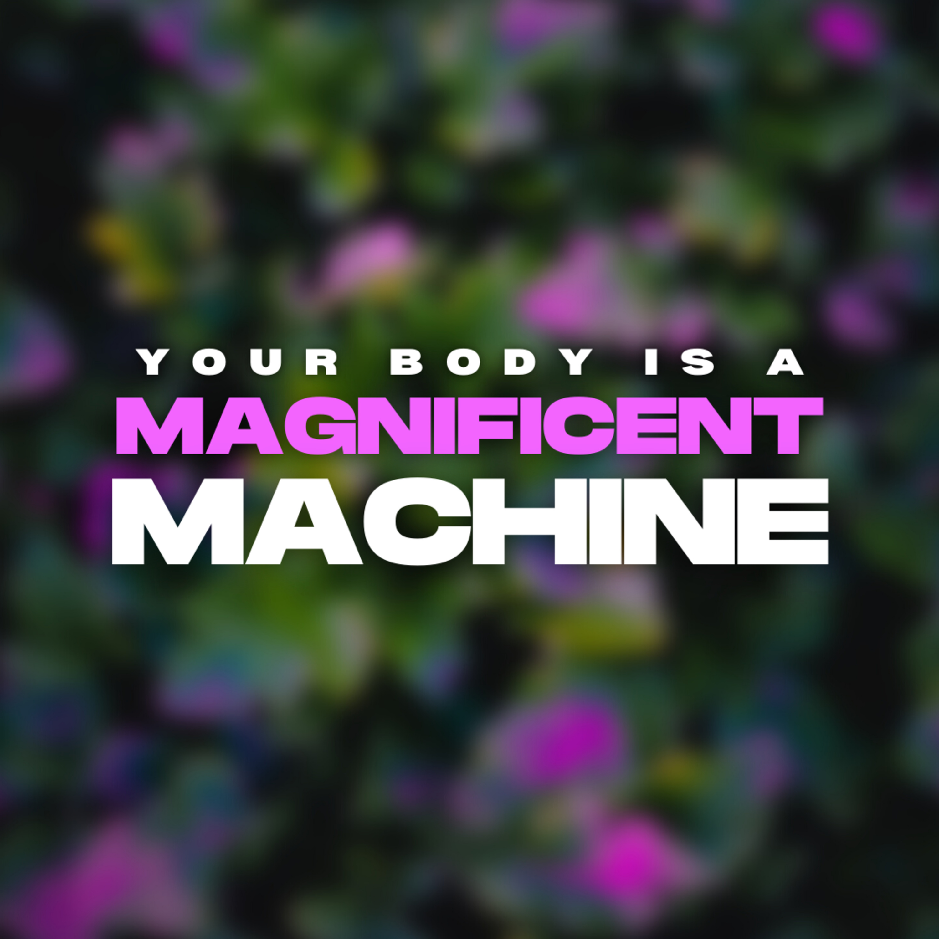 Your Body Is A Magnificent Machine | Apostle's Meditation episode artwork
