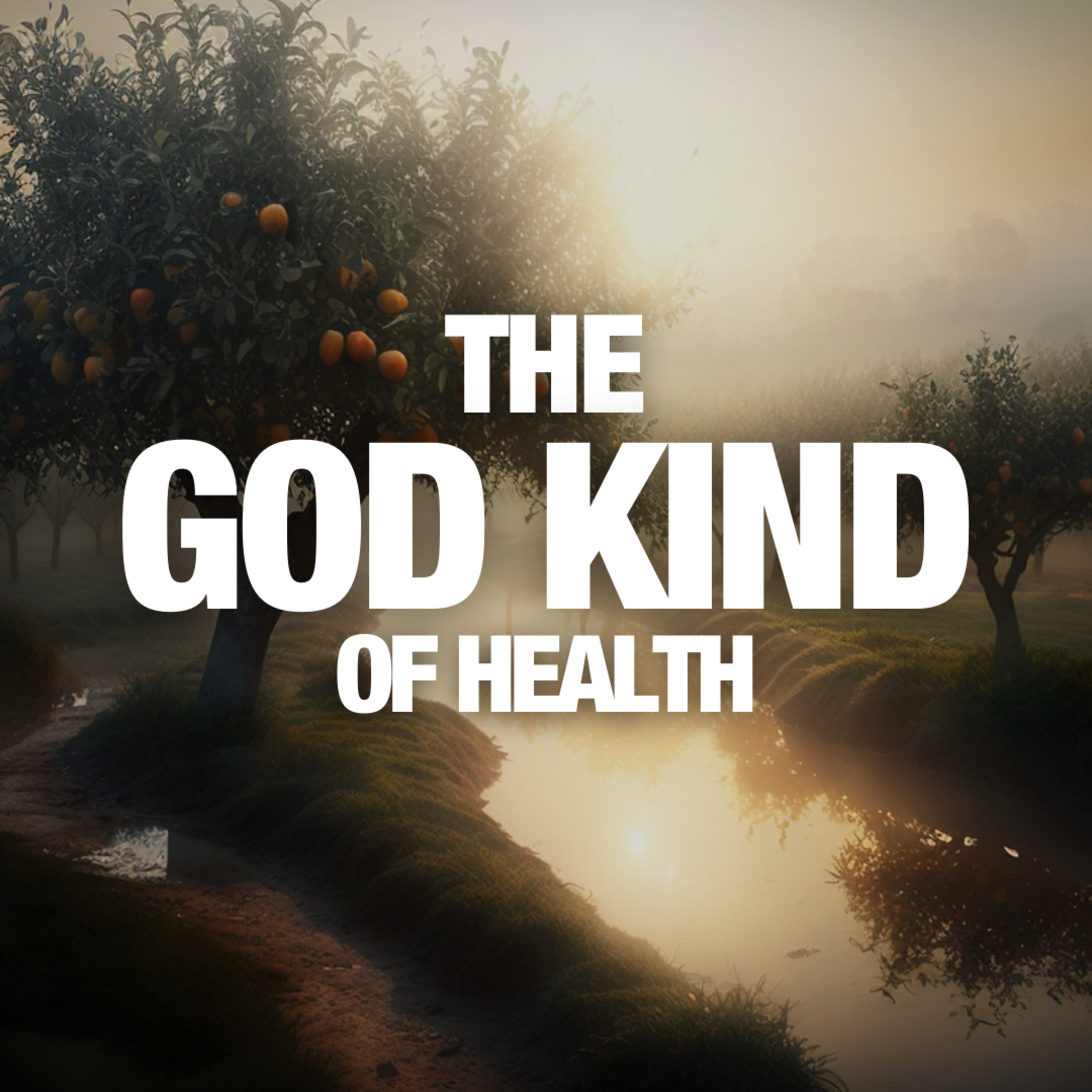 The God Kind of Health | Apostle's Meditation