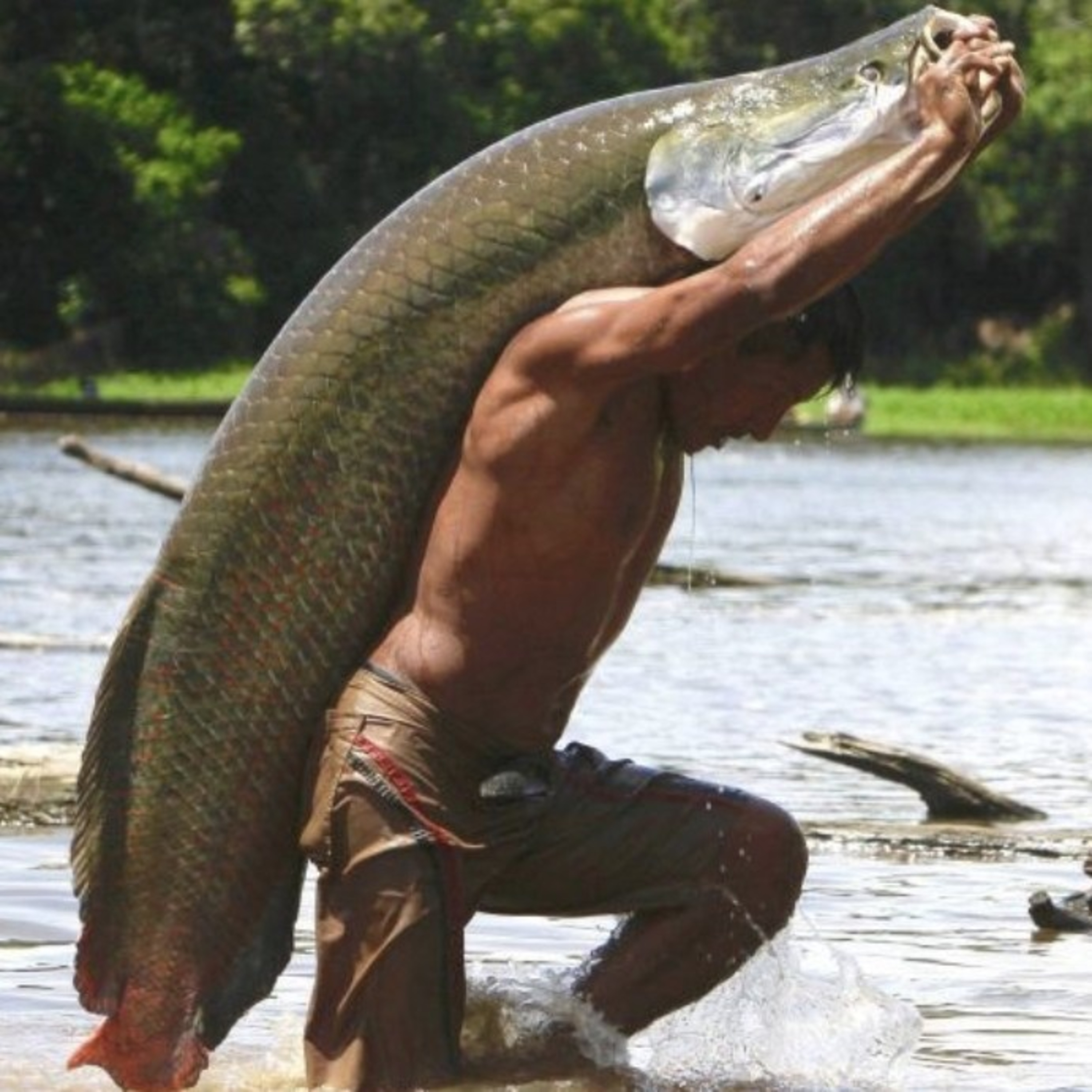 PIRARUCU, o Pod\'Peixe