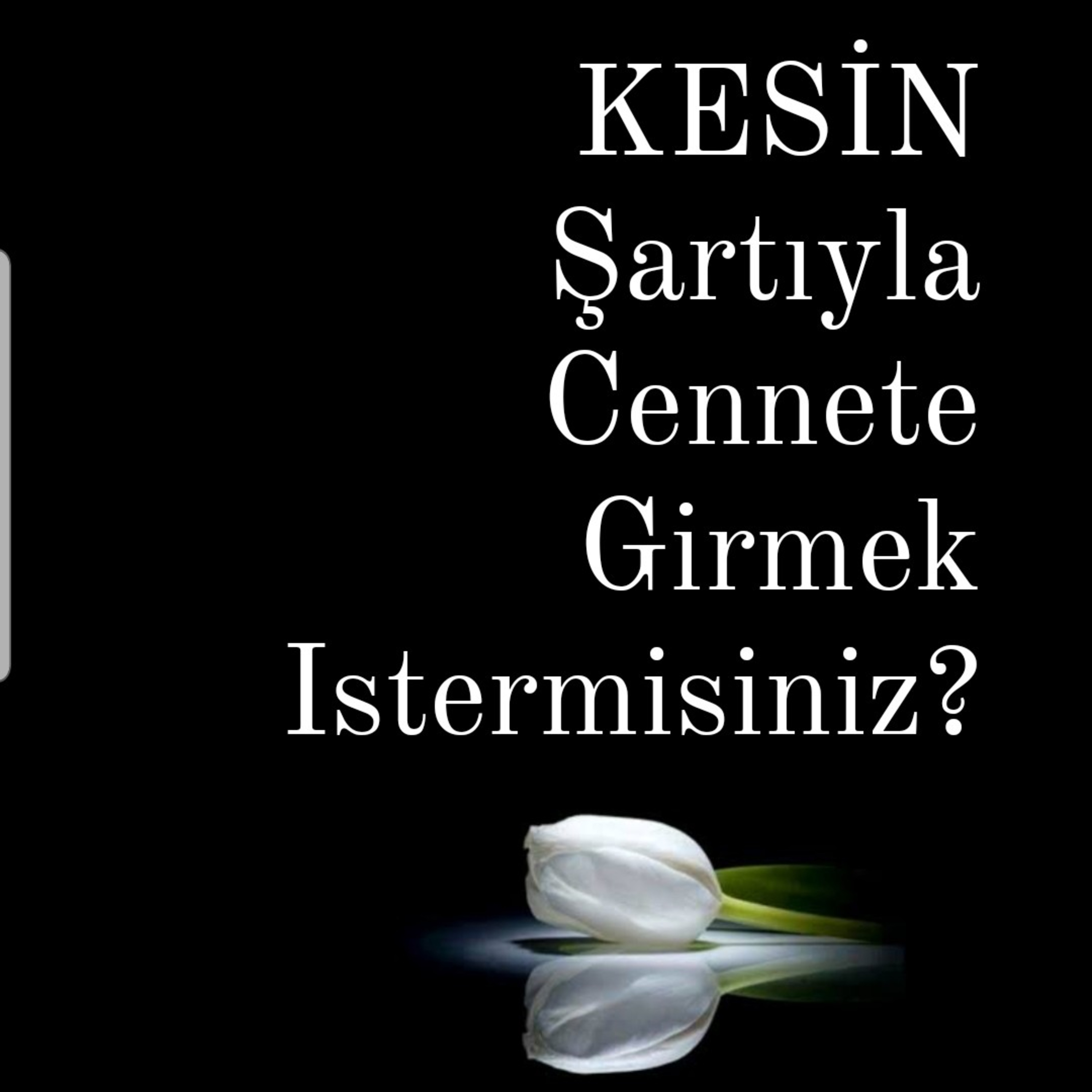 Allah Dostları için Sohbetler