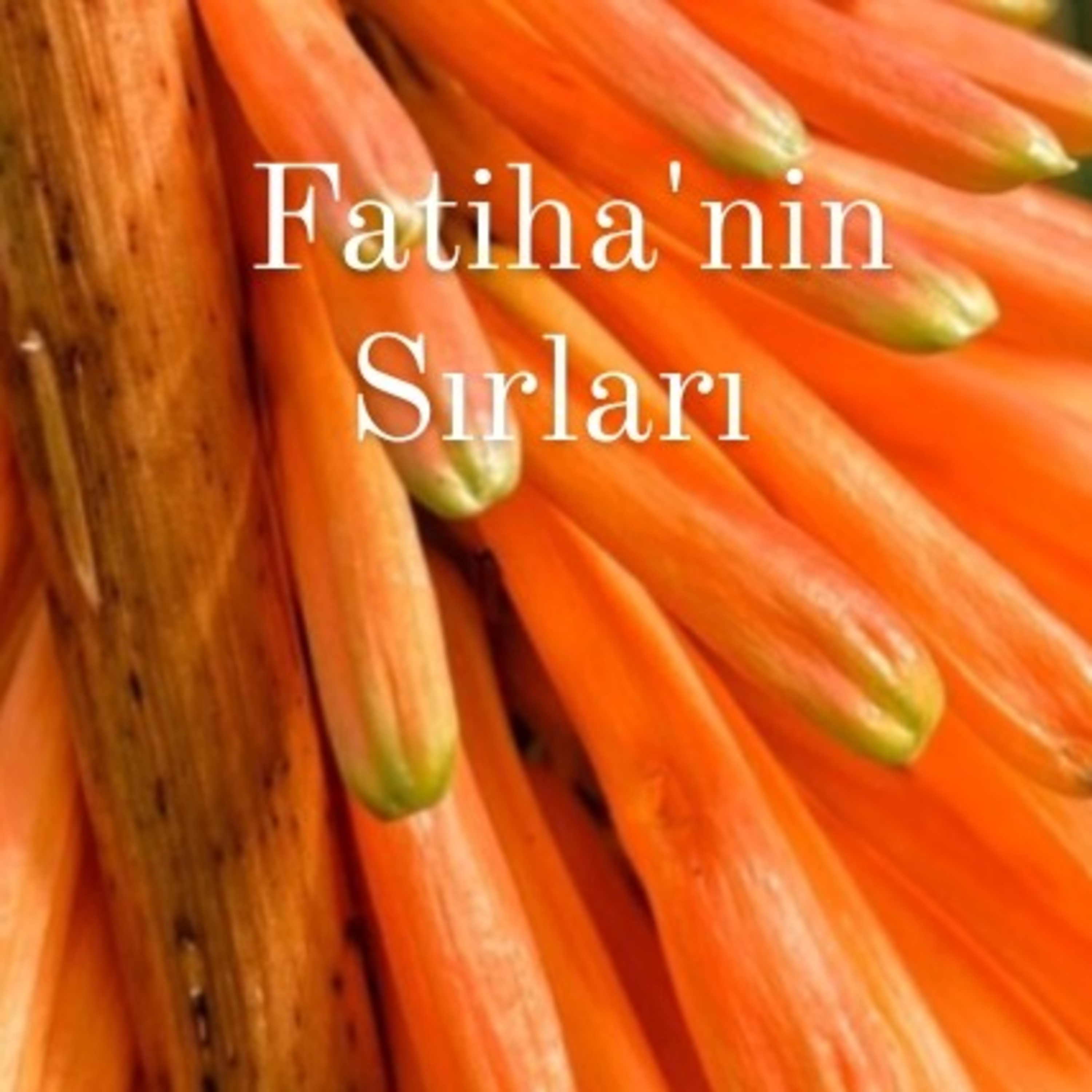 Allah Dostları için Sohbetler