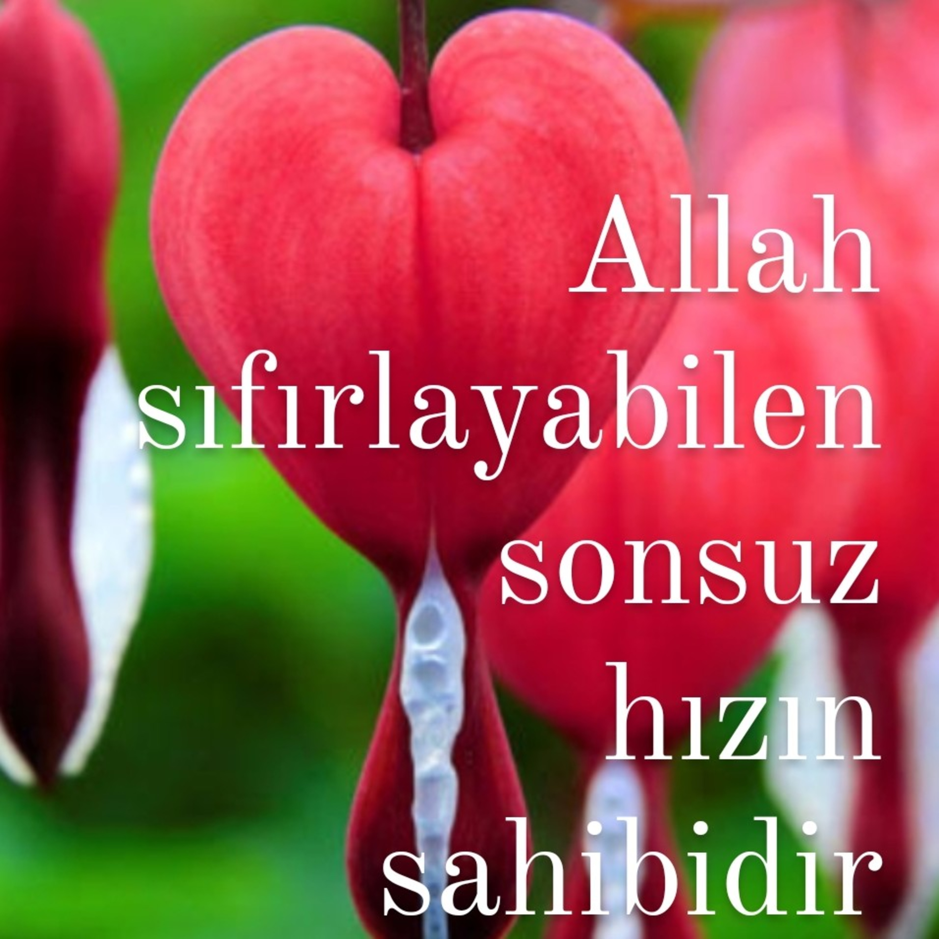 Allah Dostları için Sohbetler