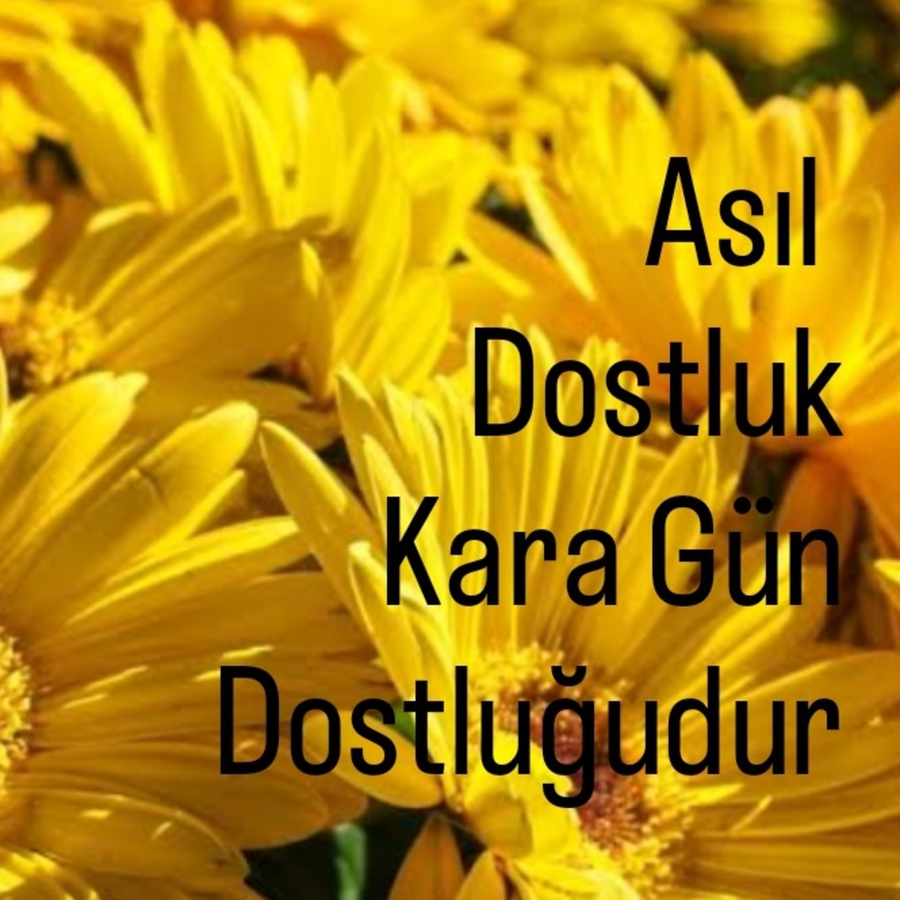 Allah Dostları için Sohbetler