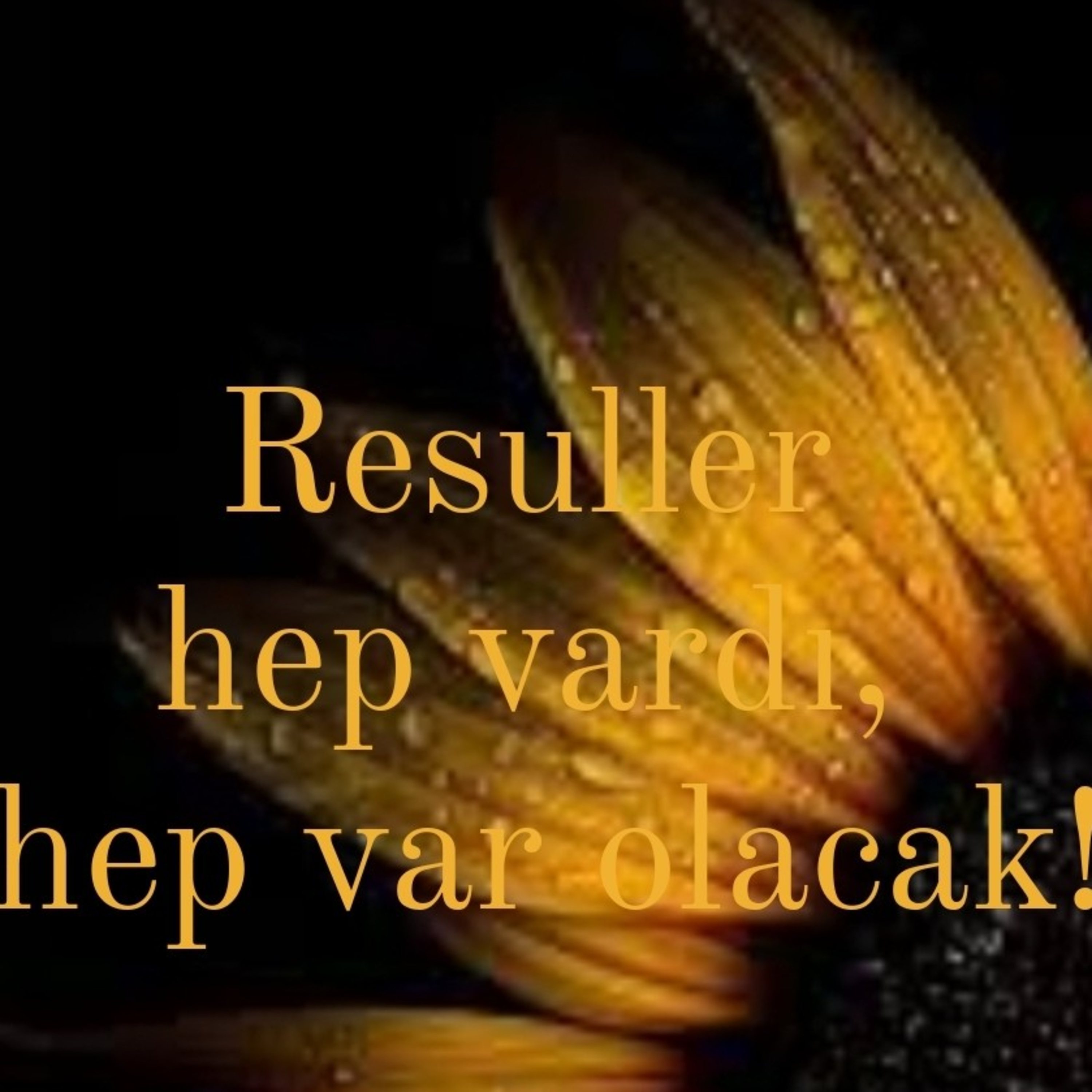Allah Dostları için Sohbetler