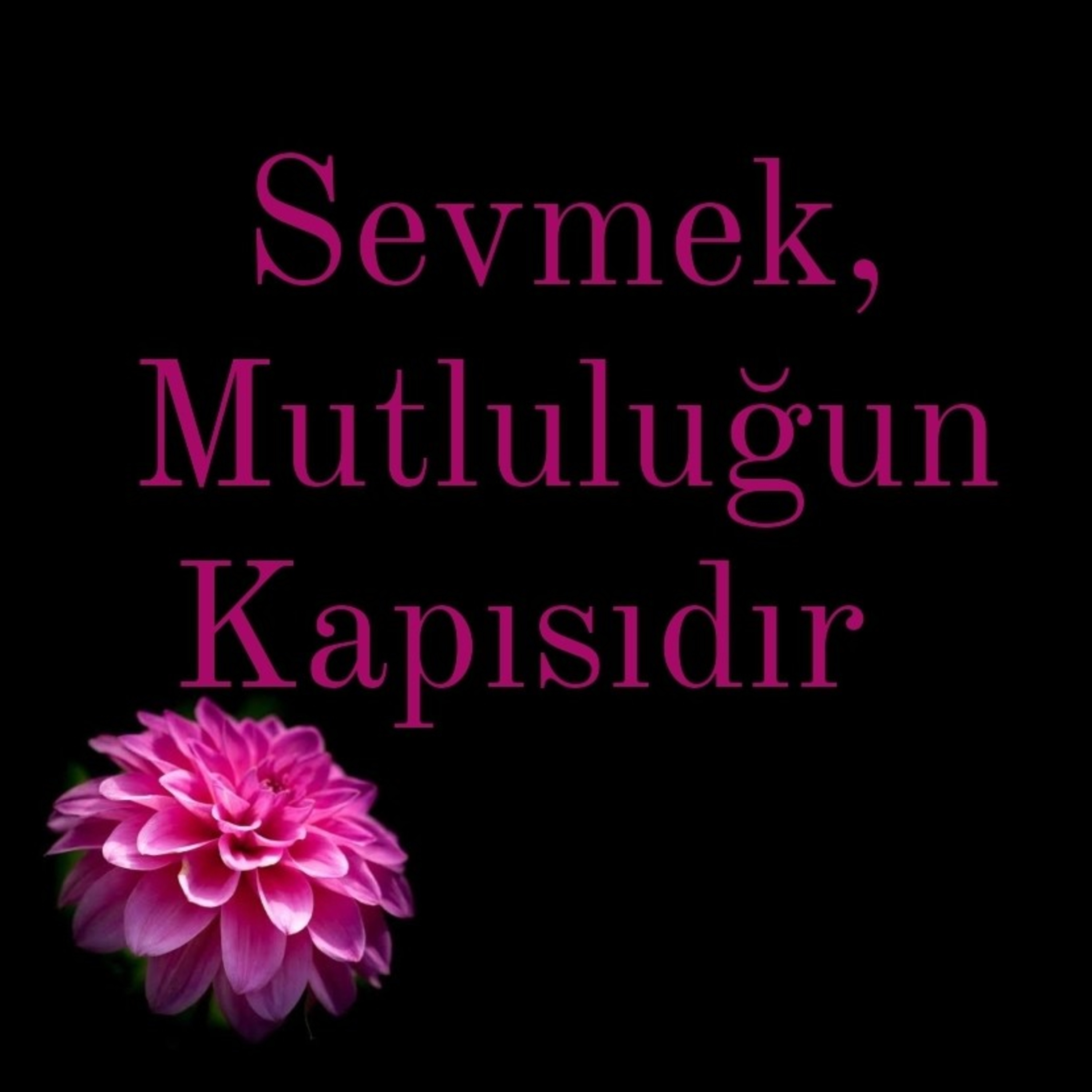 Allah Dostları için Sohbetler