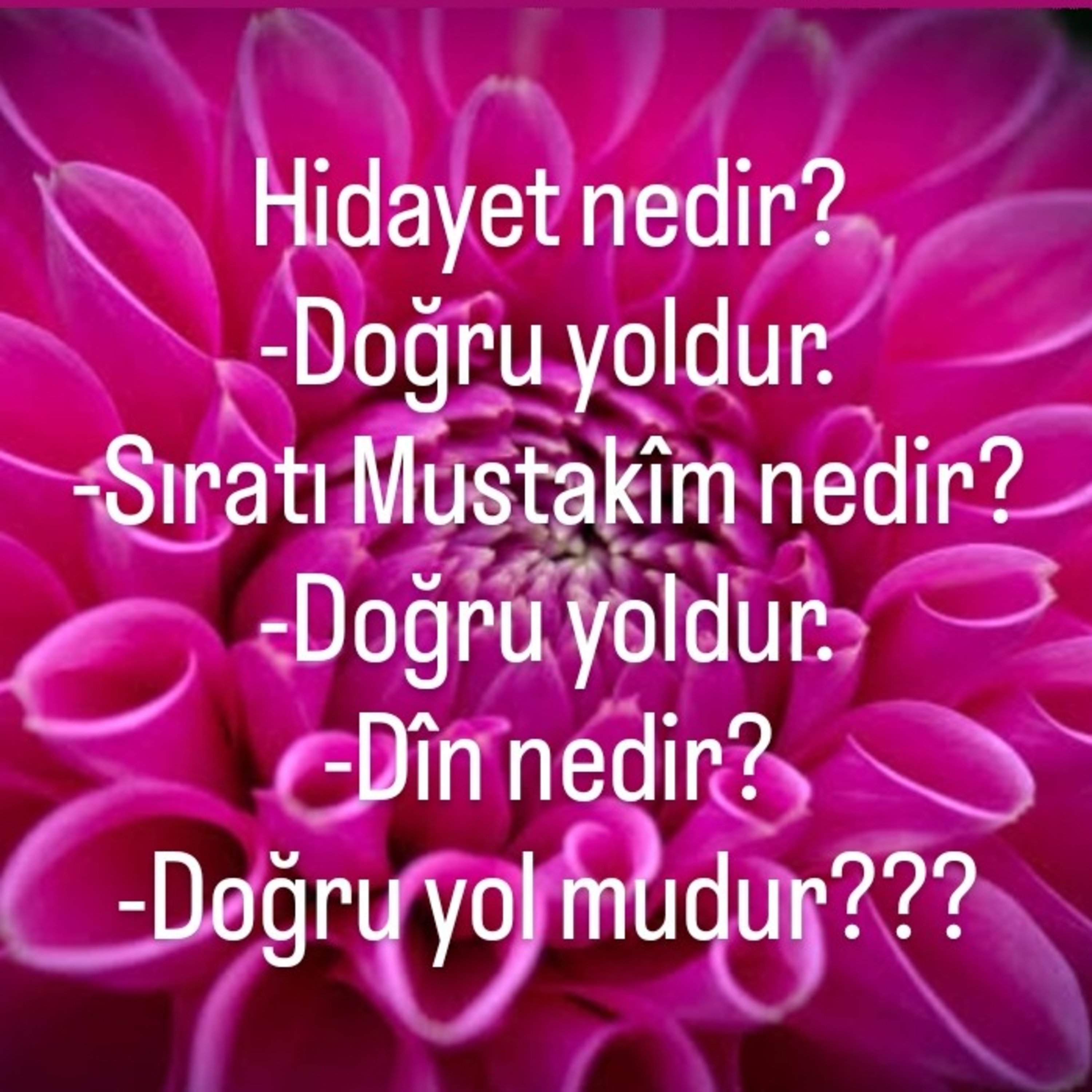 Allah Dostları için Sohbetler