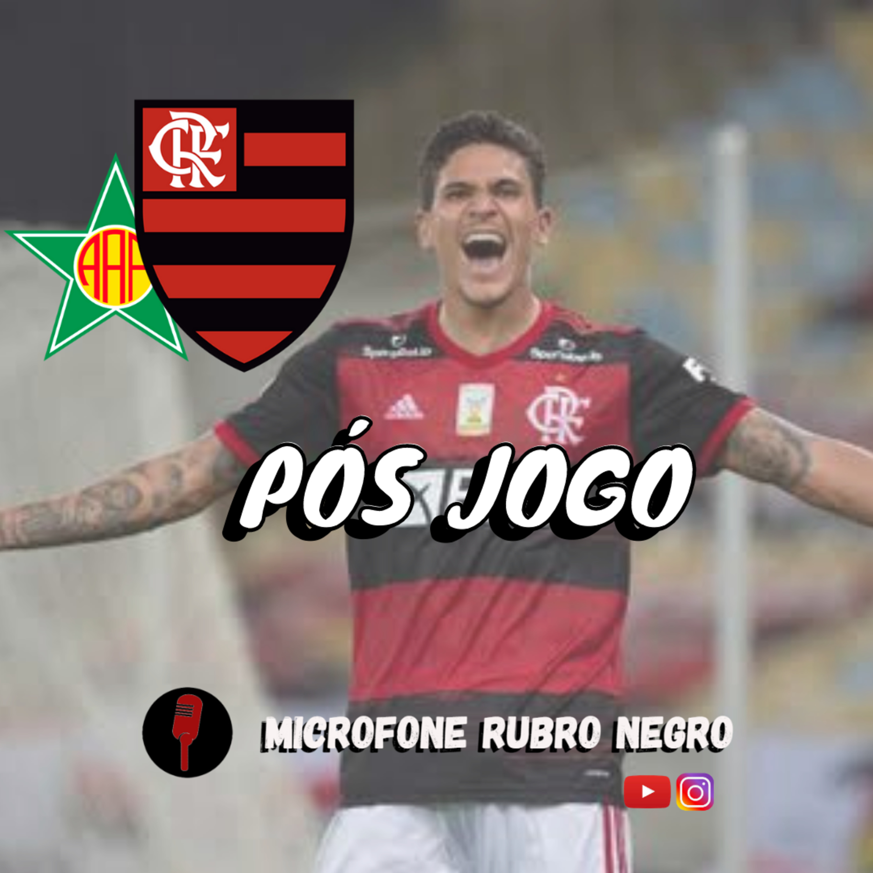 MICROFONE RUBRO NEGRO