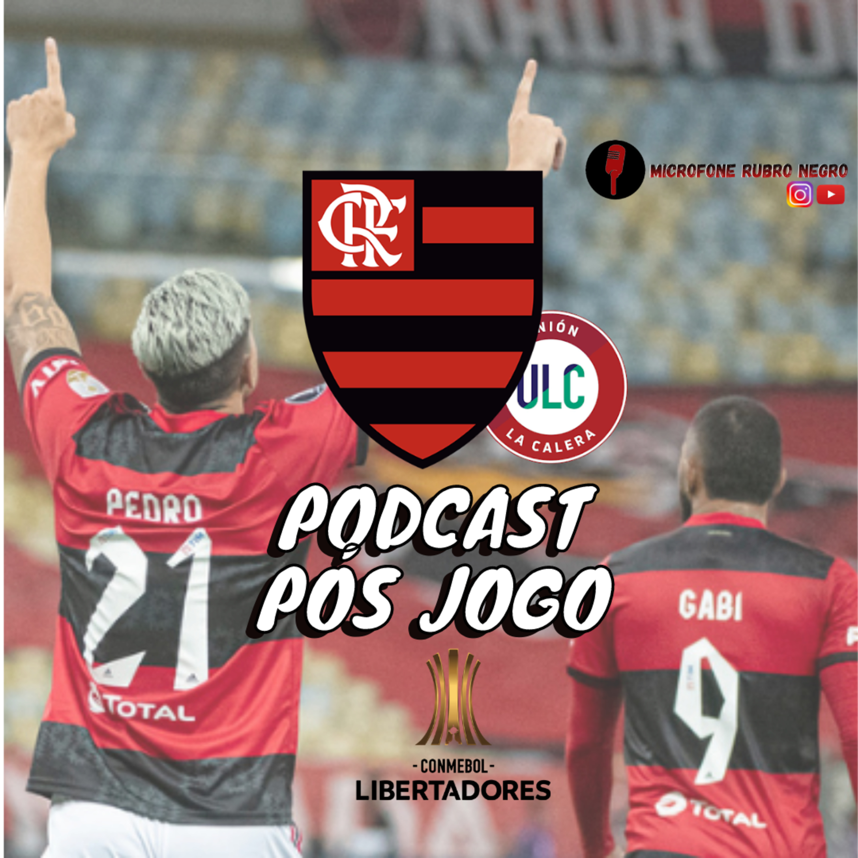 MICROFONE RUBRO NEGRO