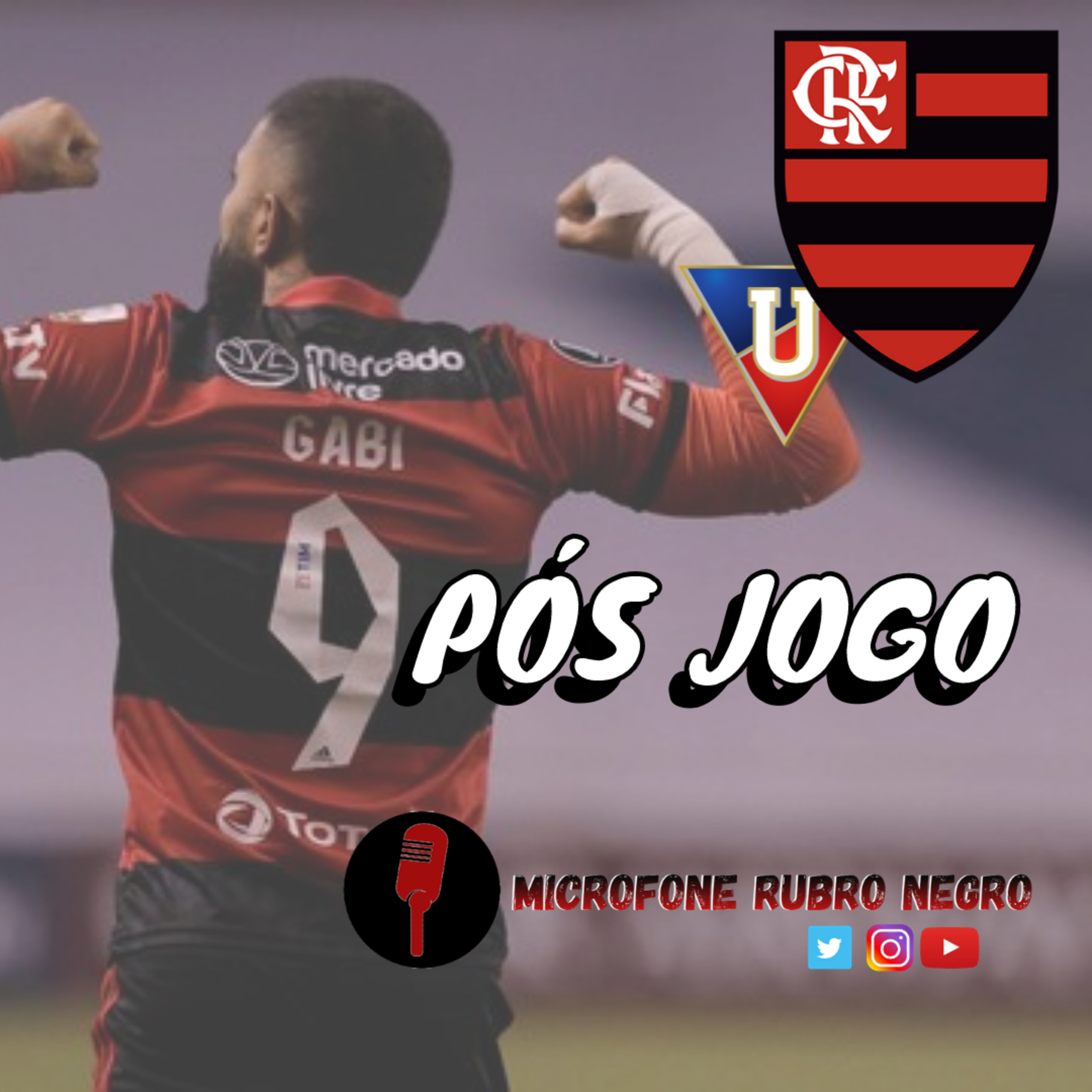 MICROFONE RUBRO NEGRO