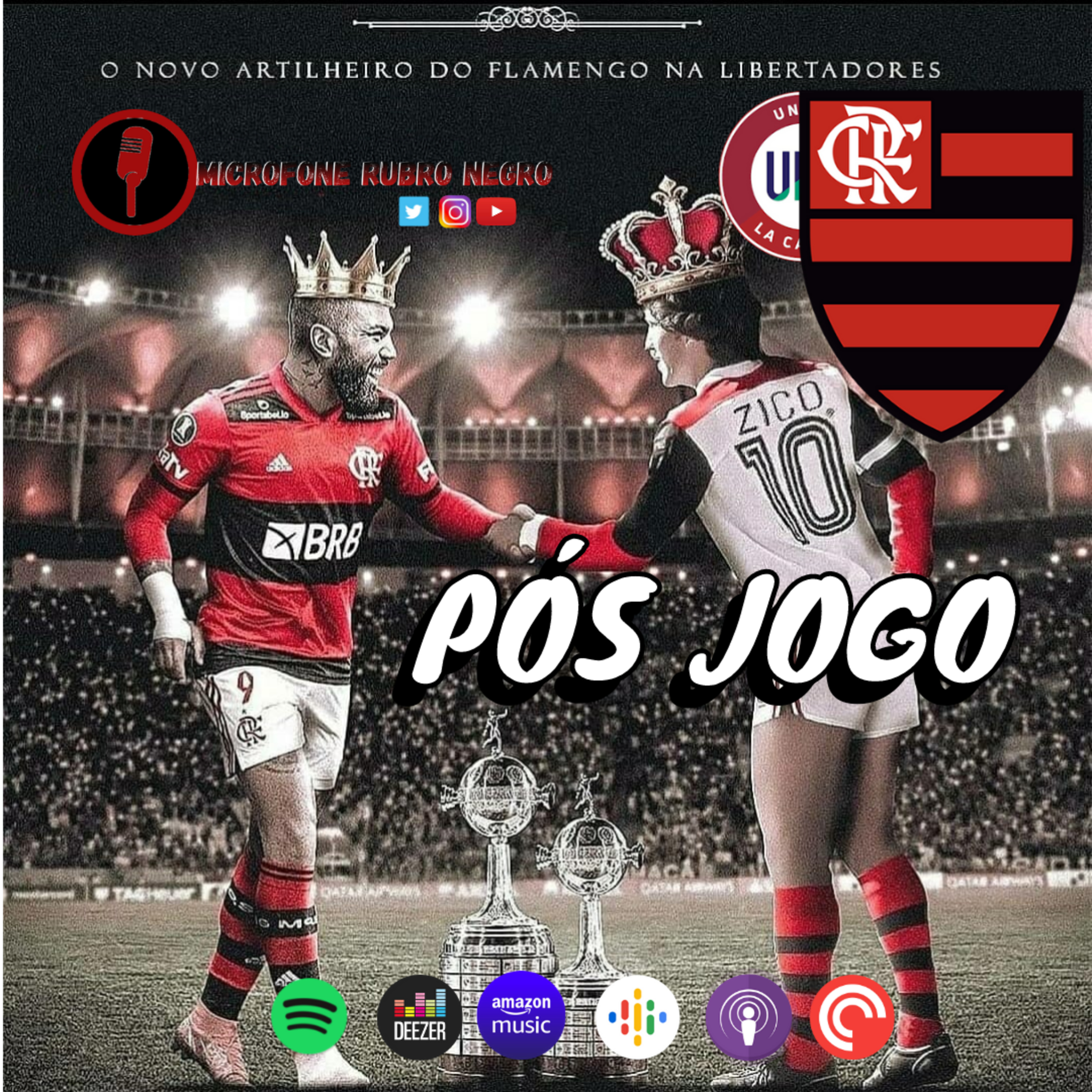 MICROFONE RUBRO NEGRO