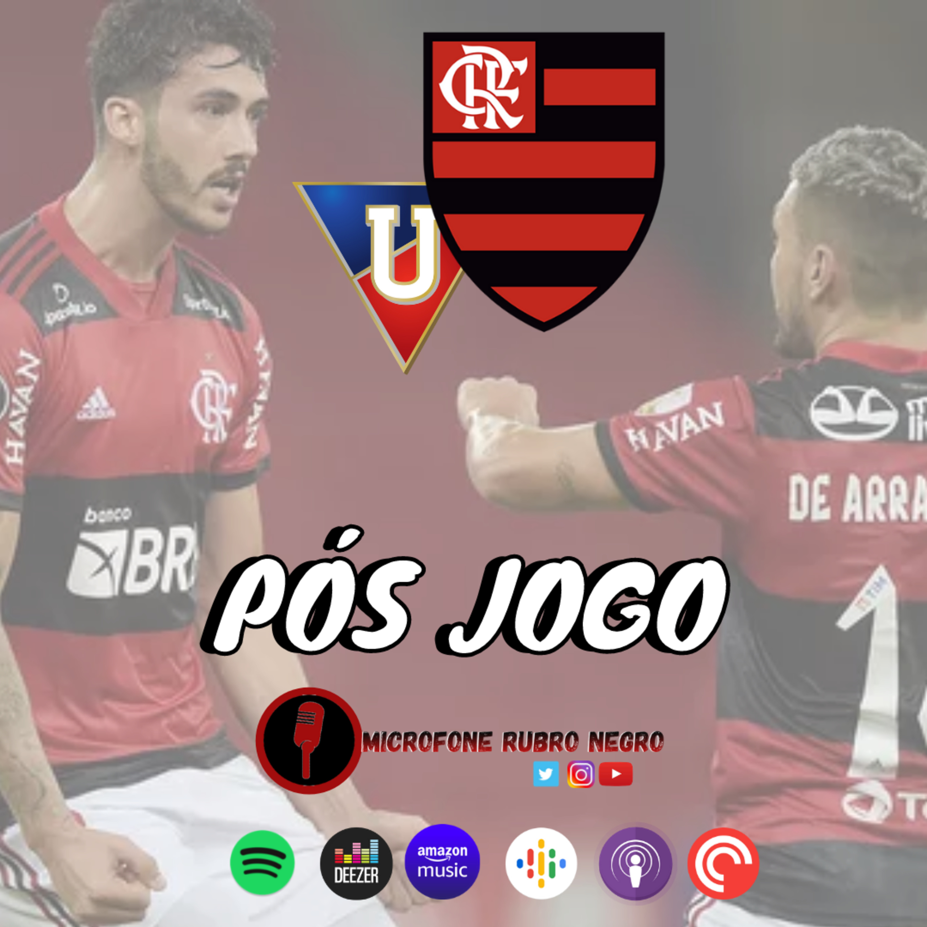 MICROFONE RUBRO NEGRO