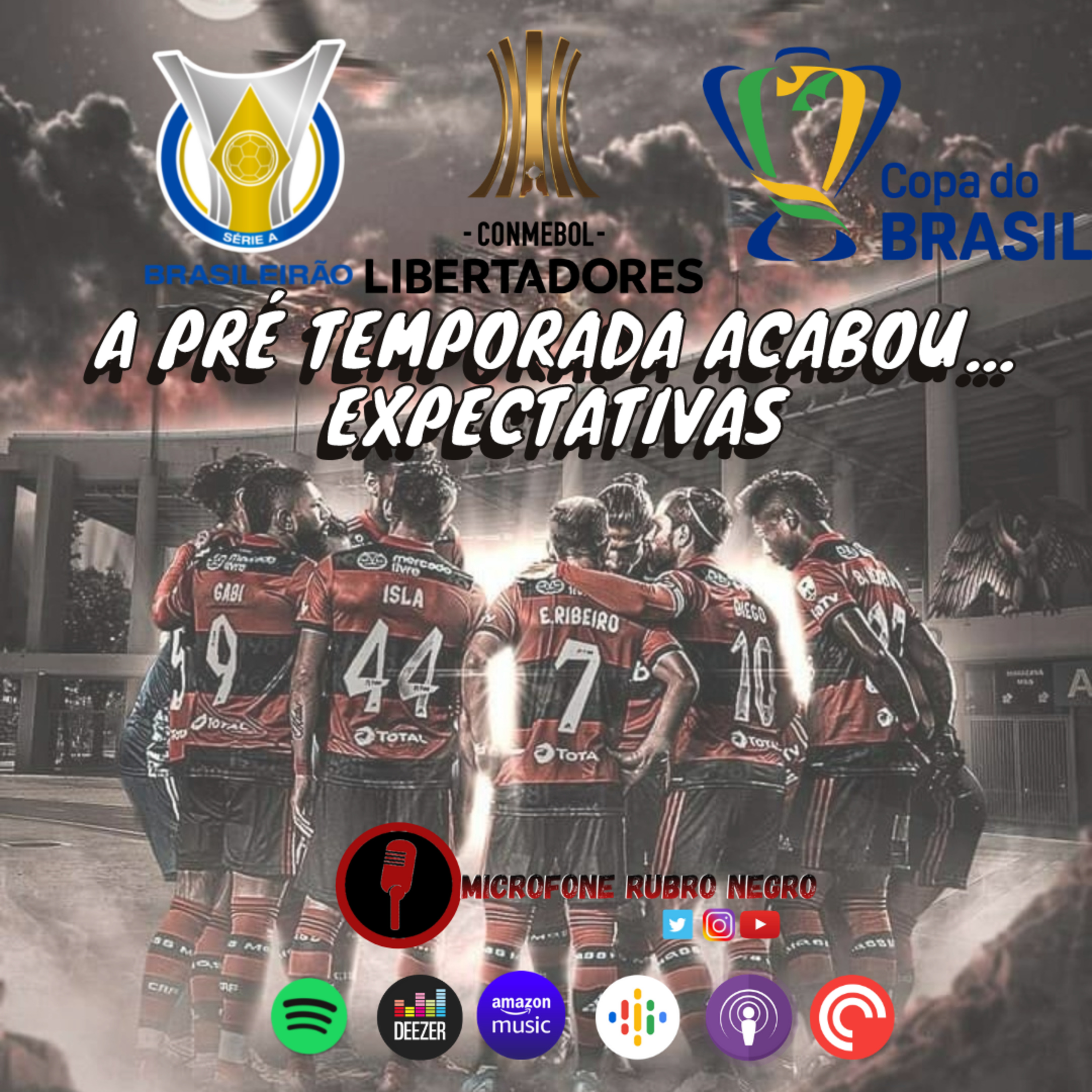 MICROFONE RUBRO NEGRO