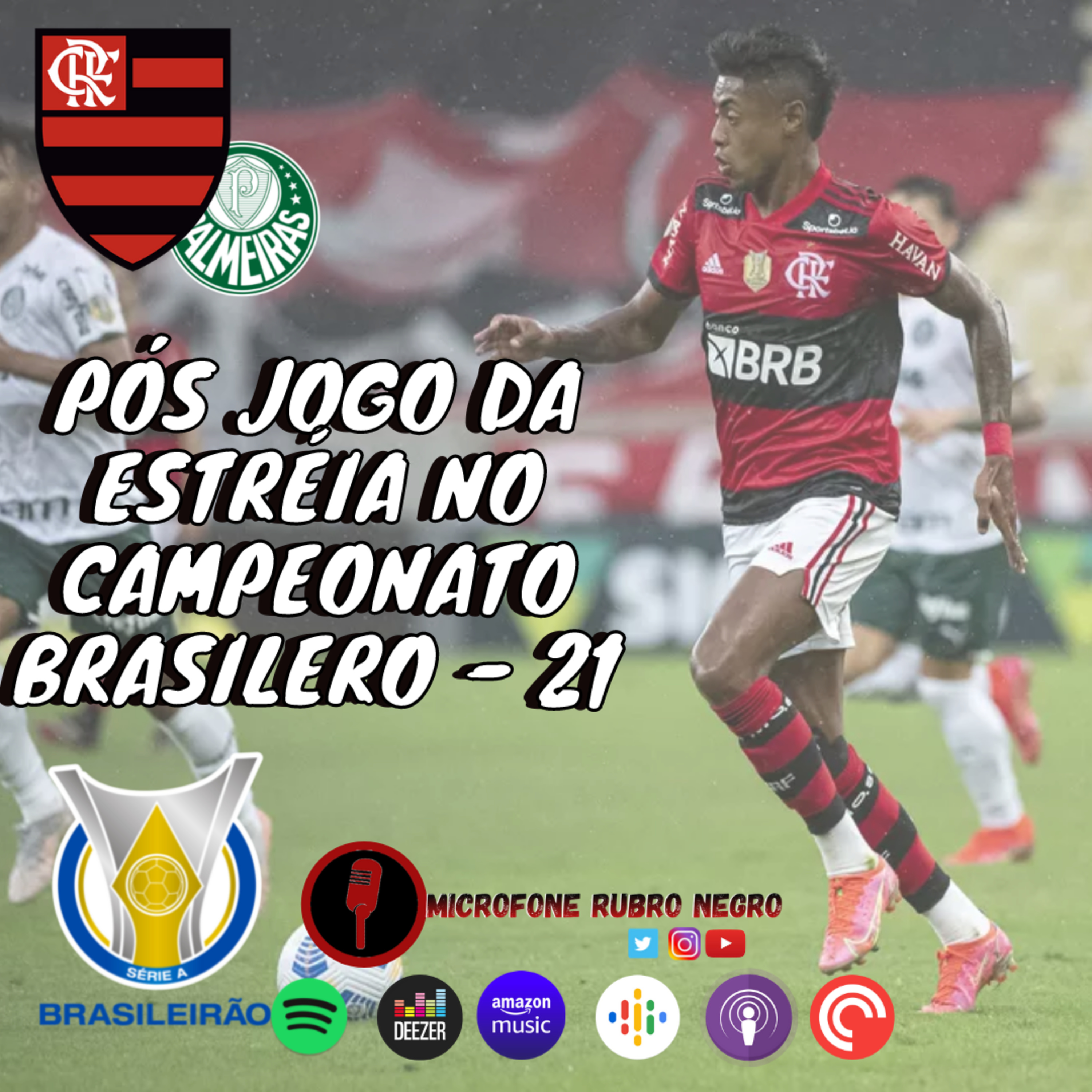 MICROFONE RUBRO NEGRO