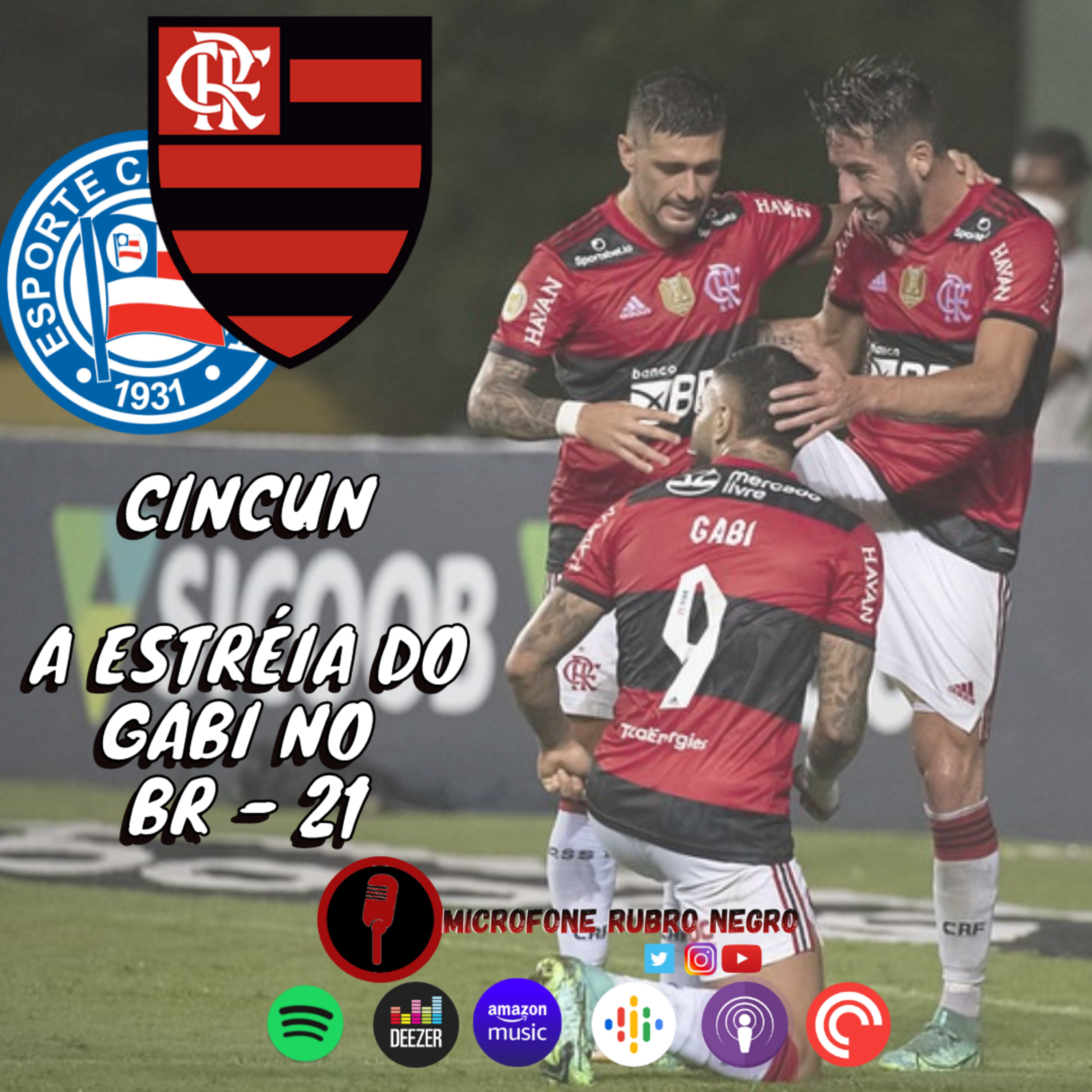 MICROFONE RUBRO NEGRO