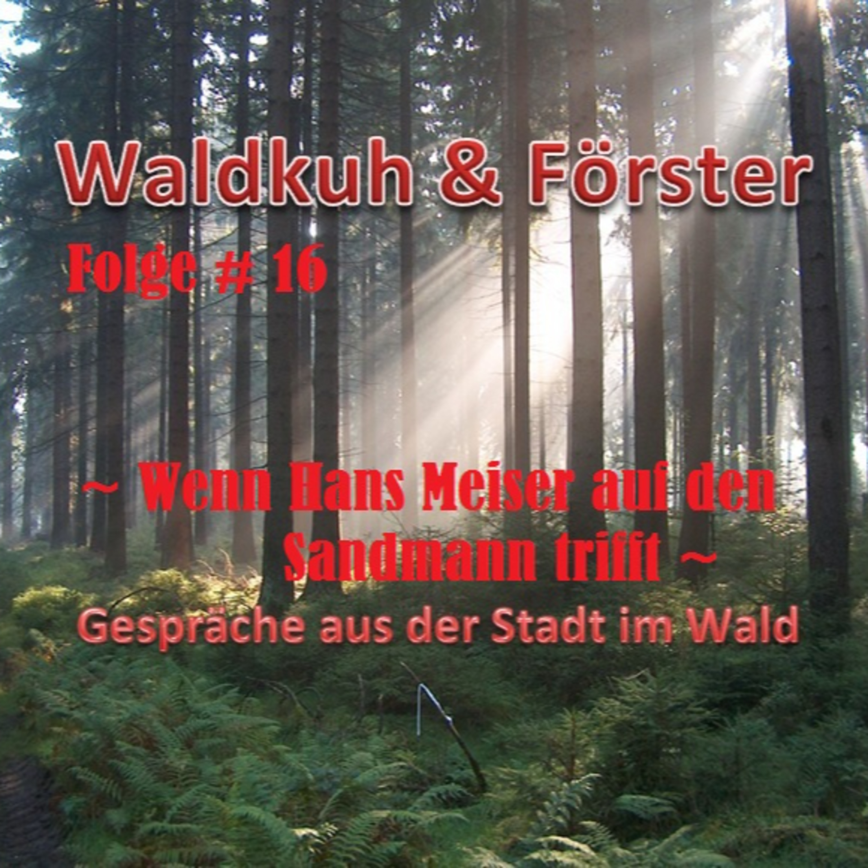Waldkuh & Förster