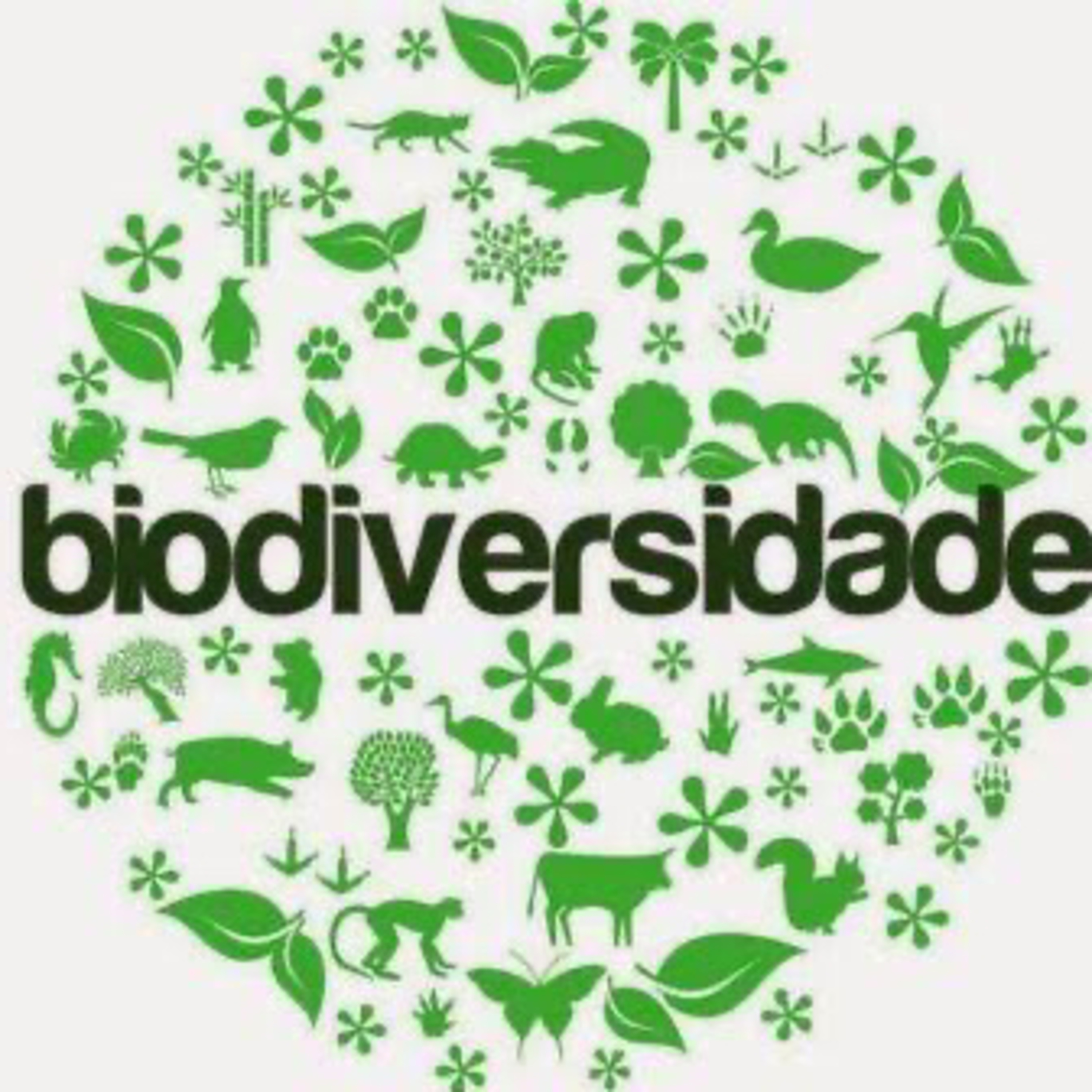 Biodiversidade  episode artwork