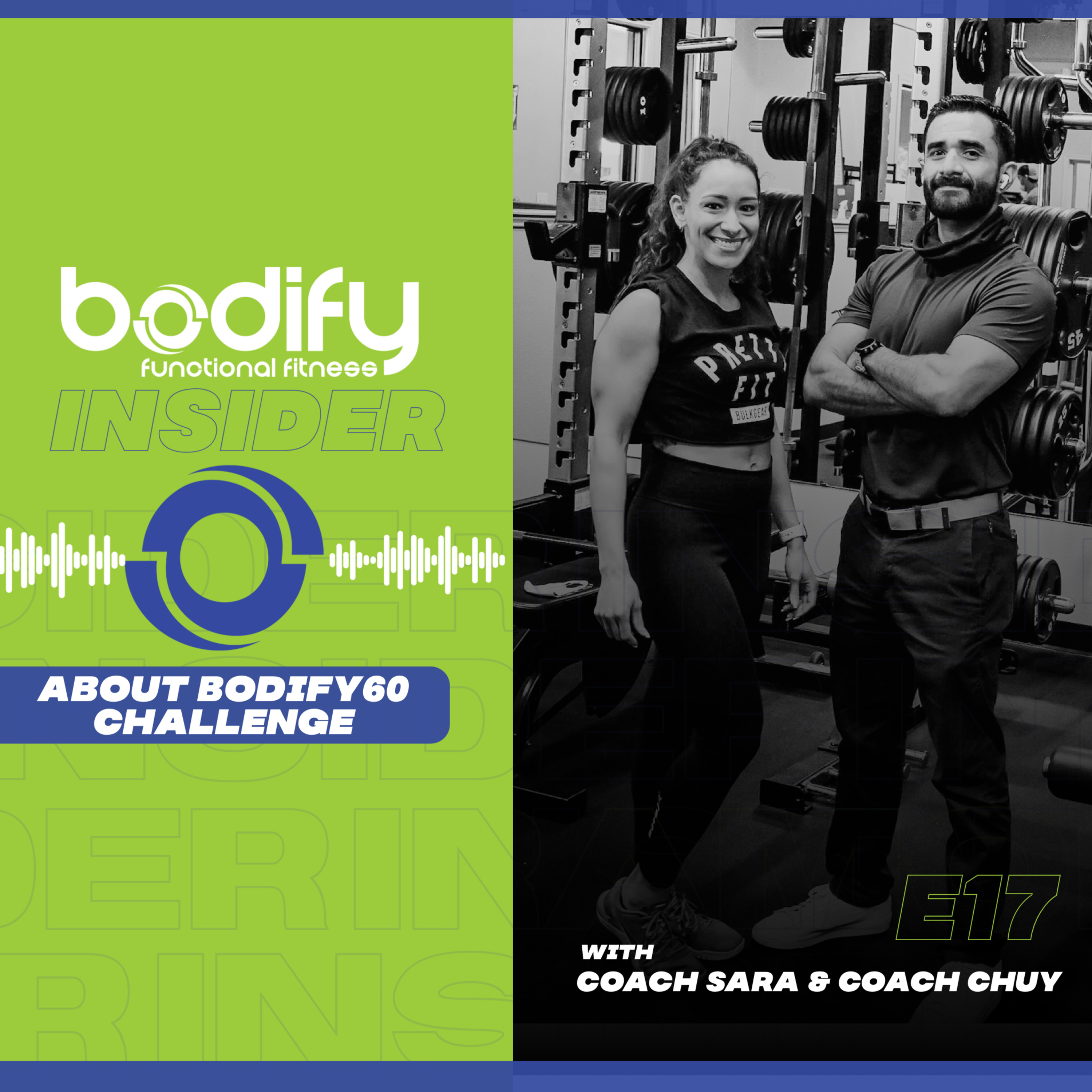 Bodify Insider