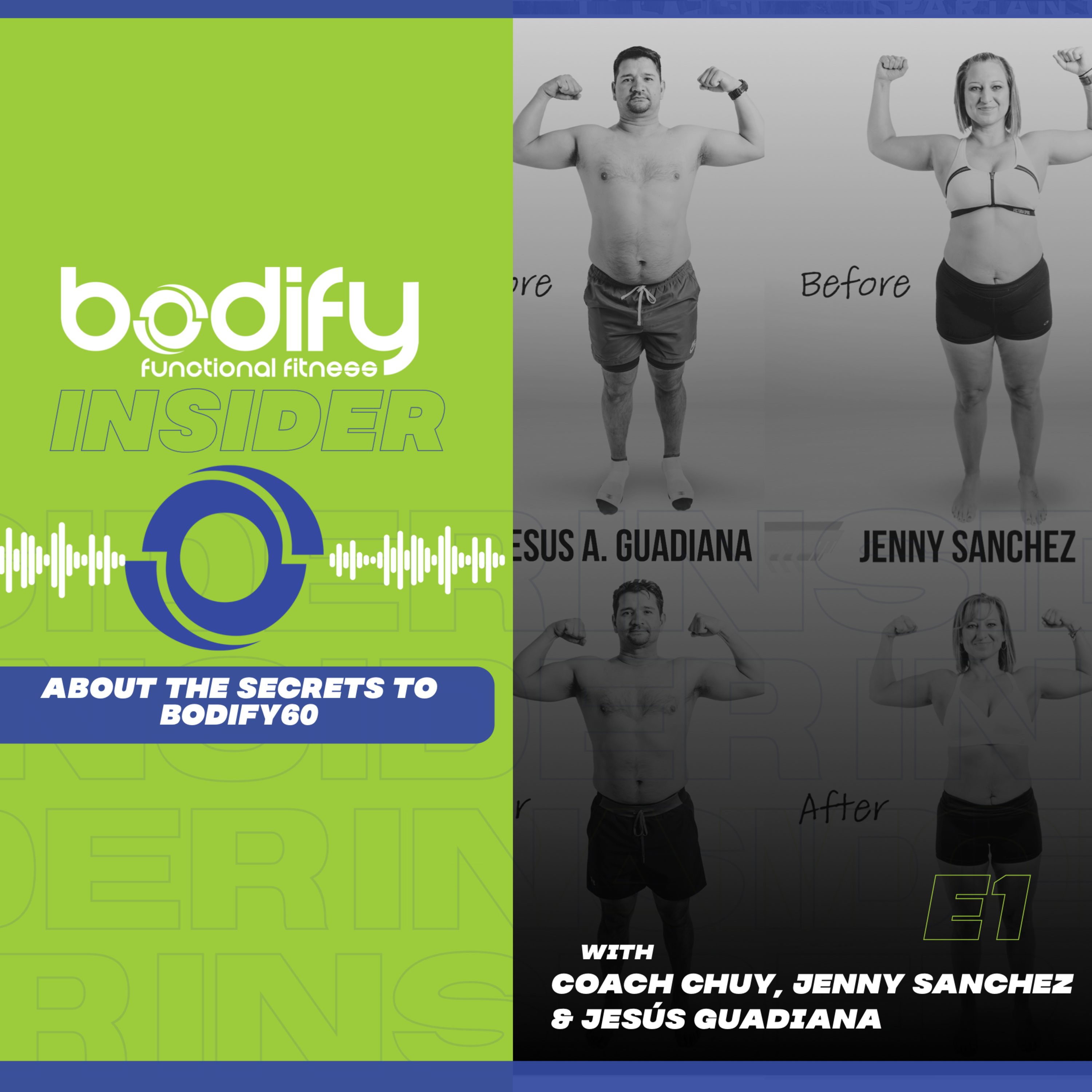 Bodify Insider