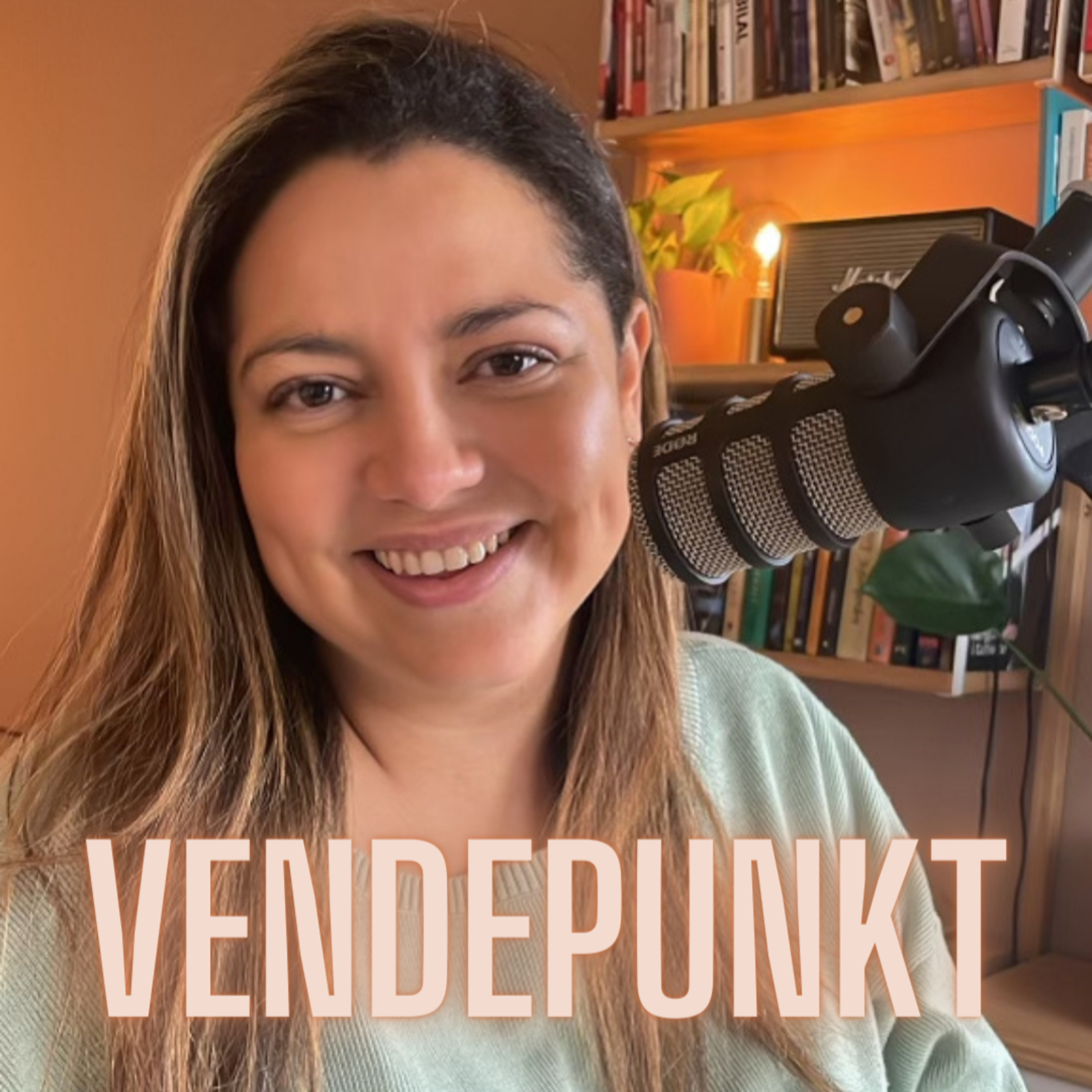 Vendepunkt