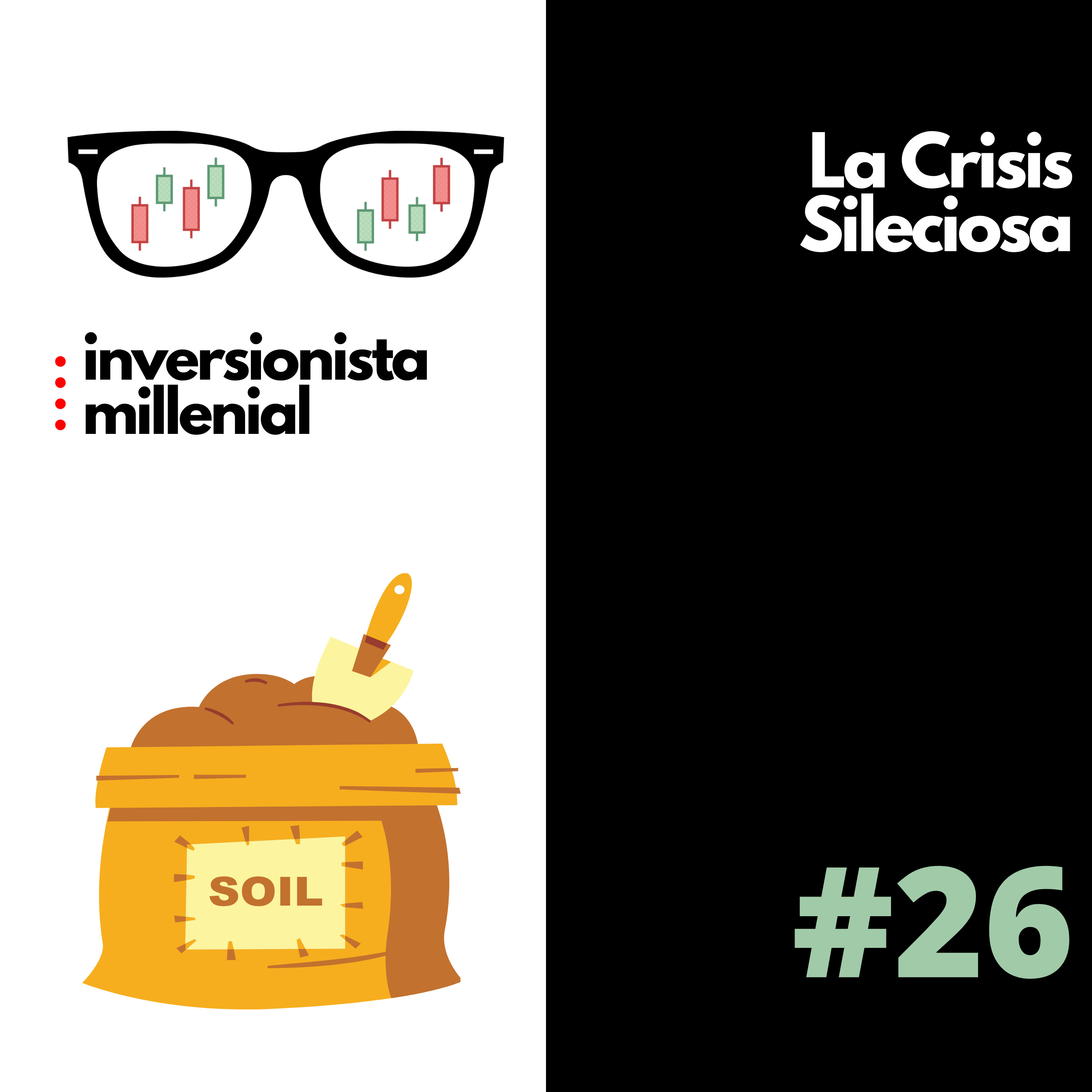 #26. La Crisis Silenciosa
