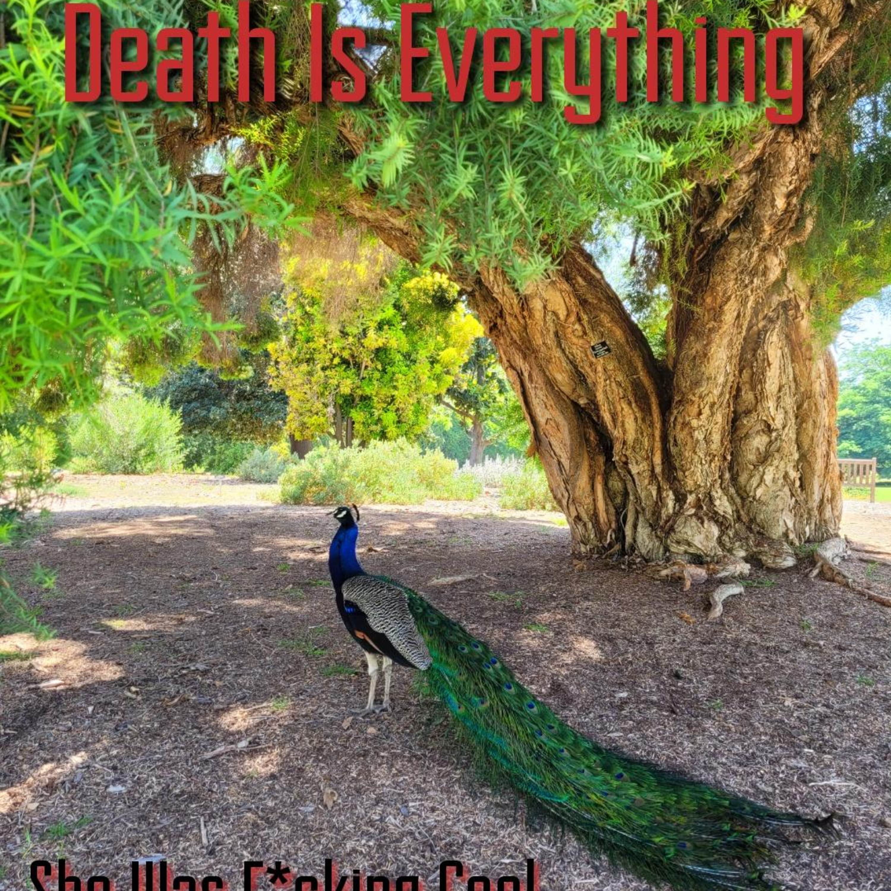 Death Is Everything