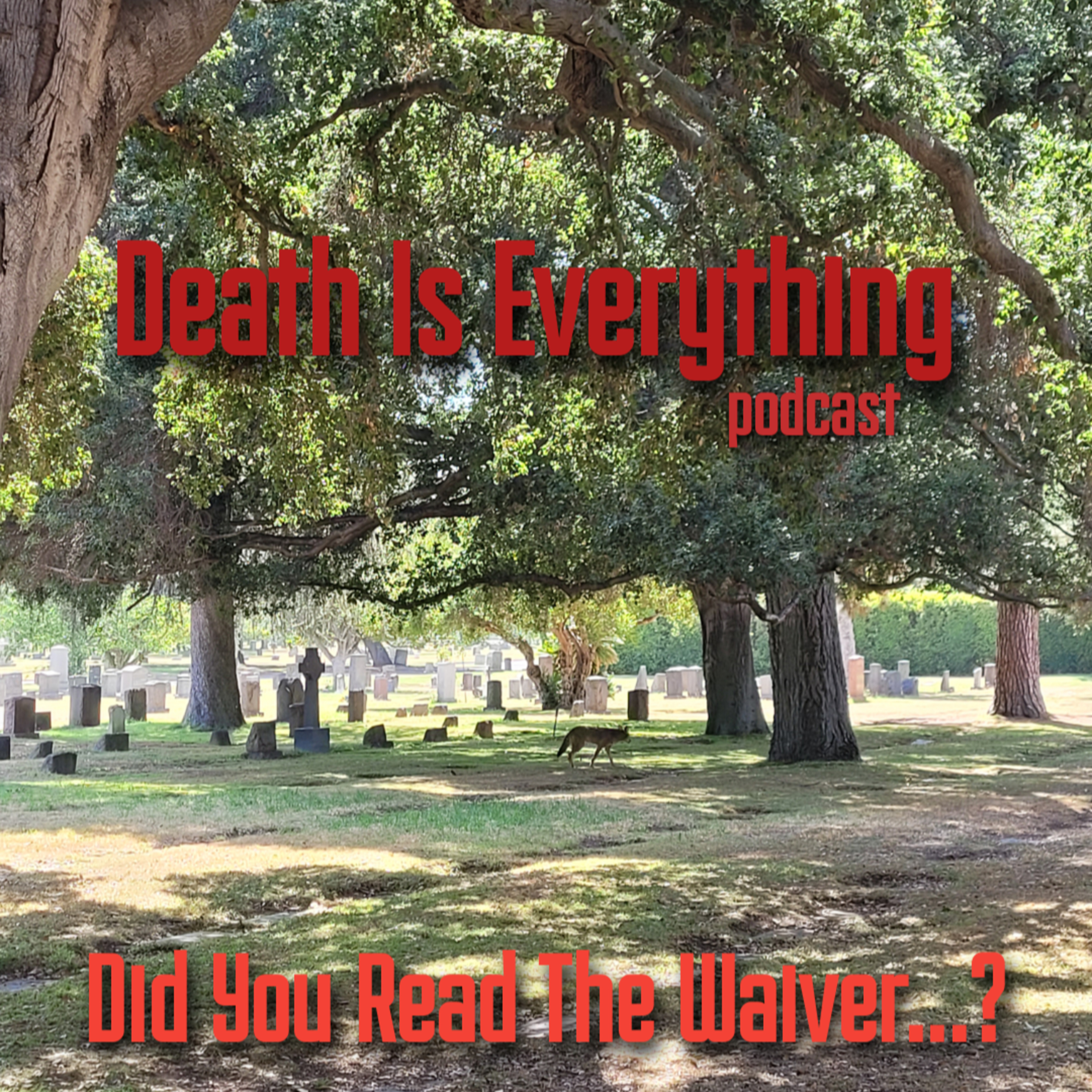 Death Is Everything