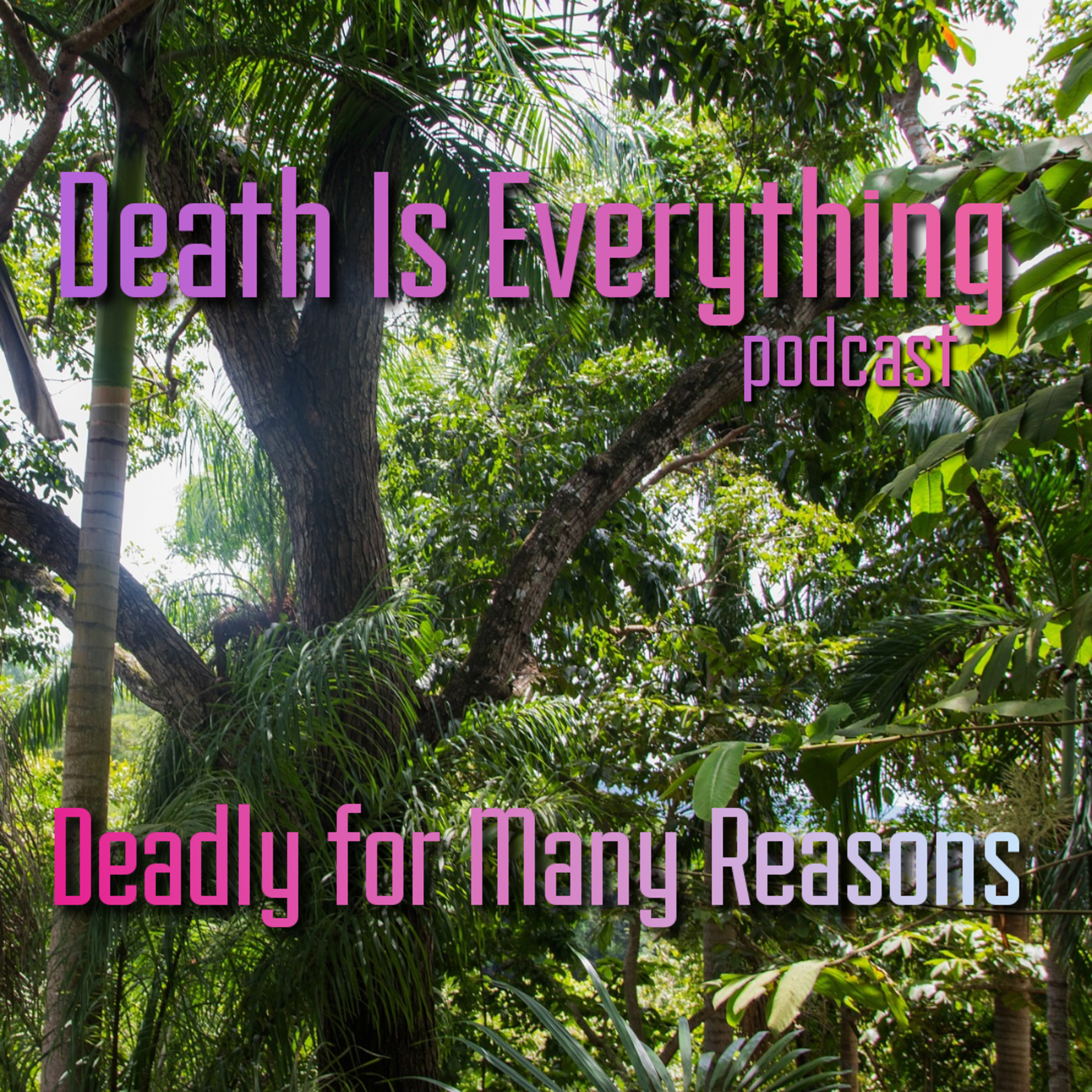 Death Is Everything