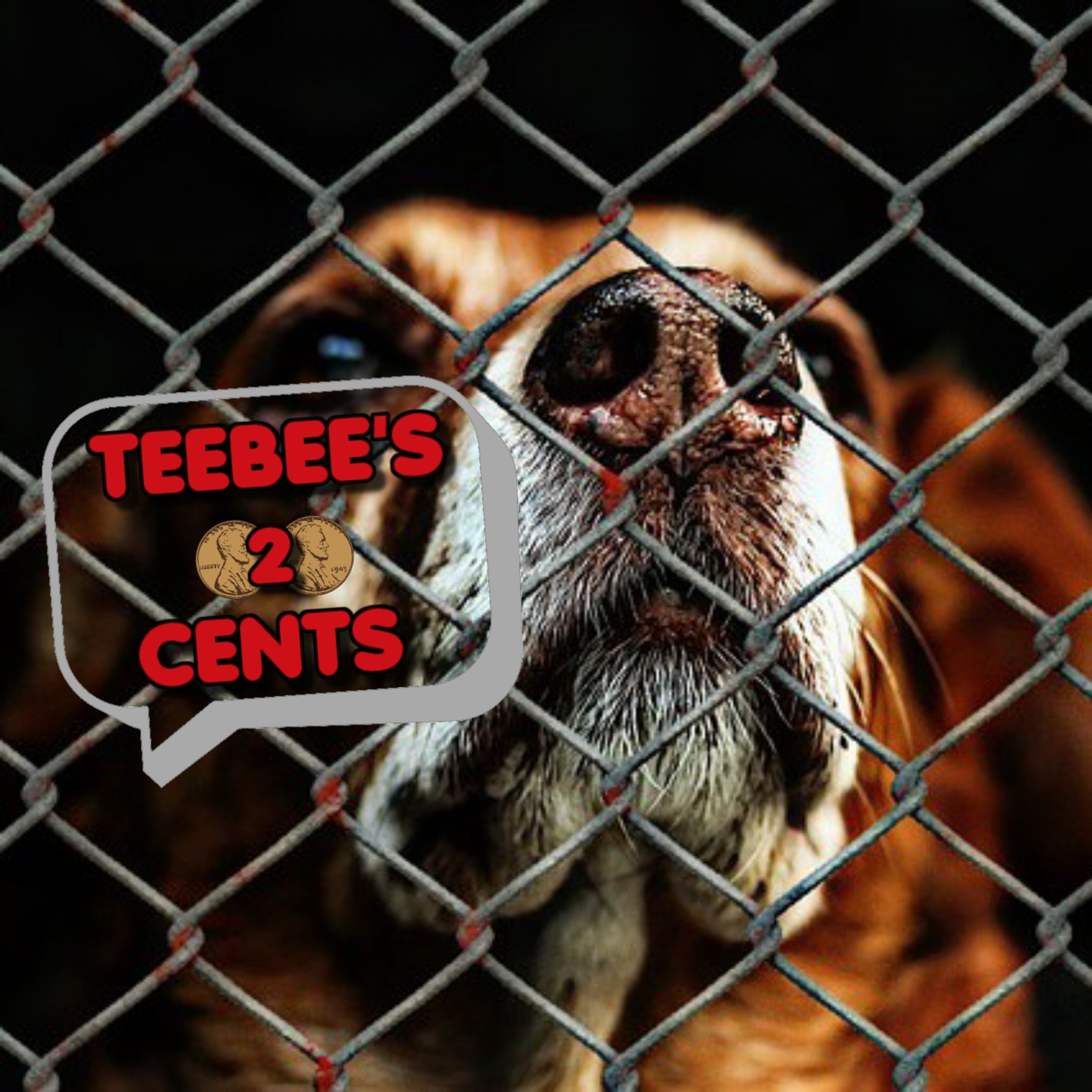 Pets Being Euthanized Like This Is Wrong episode artwork