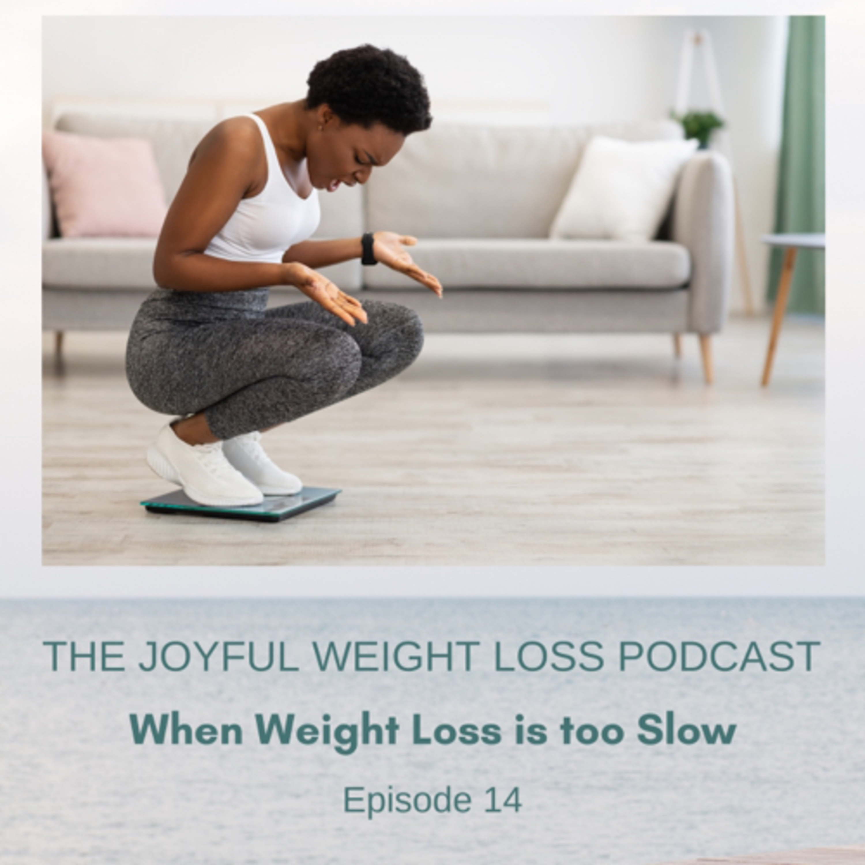 14. When Weight Loss is too Slow  episode artwork