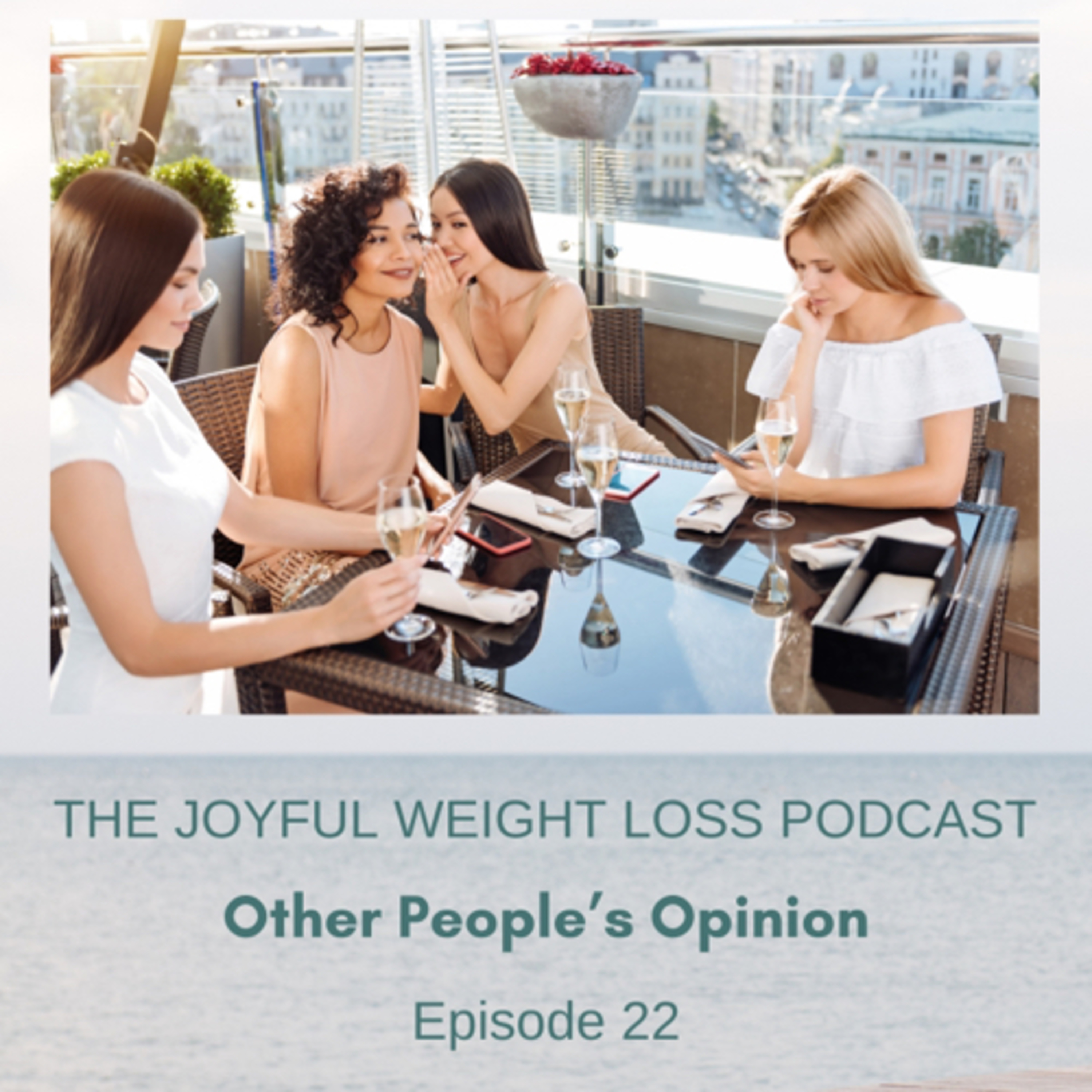 22. Other Peoples Opinion  episode artwork