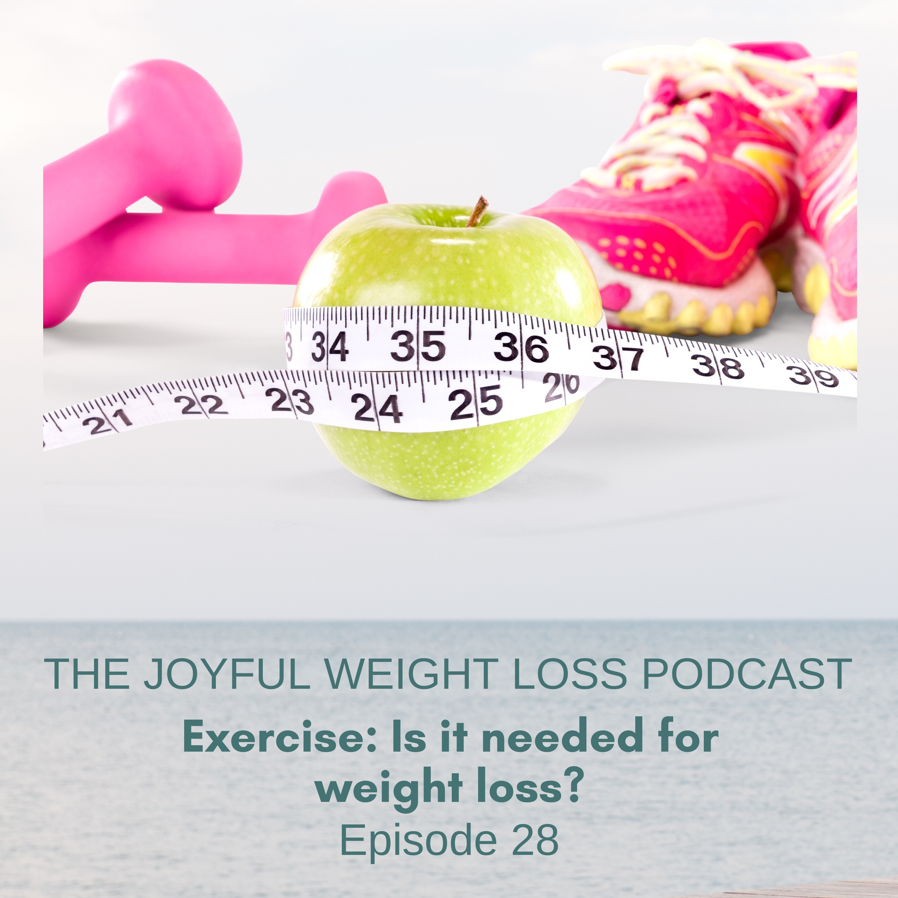 28. Exercise: Is it needed for weight loss? episode artwork