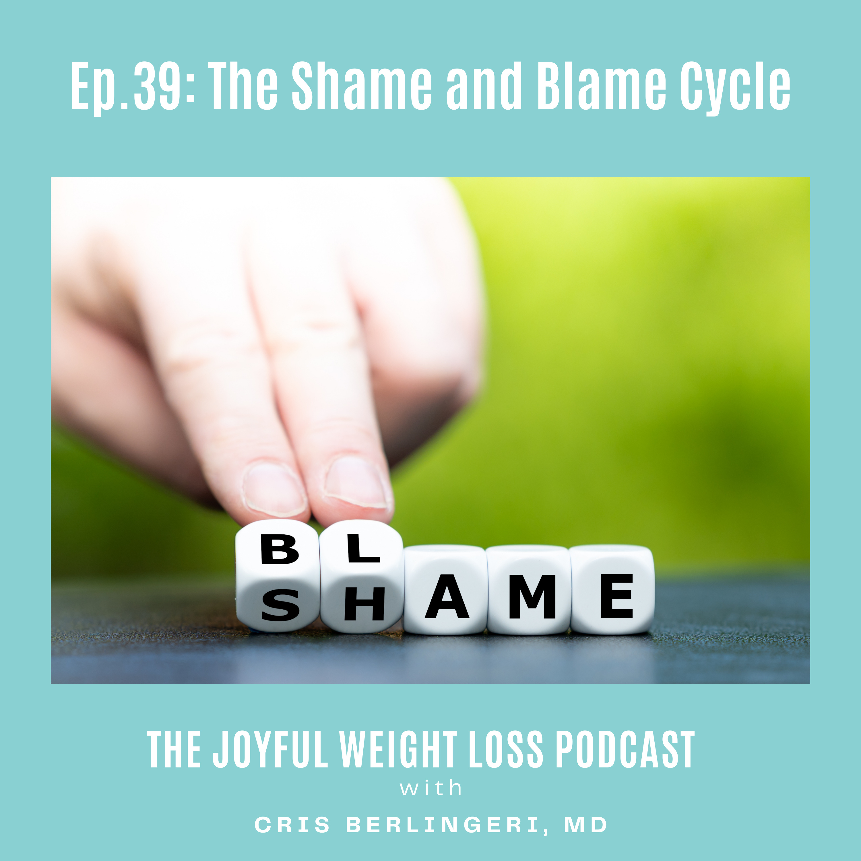 39. The Shame and Blame Cycle episode artwork