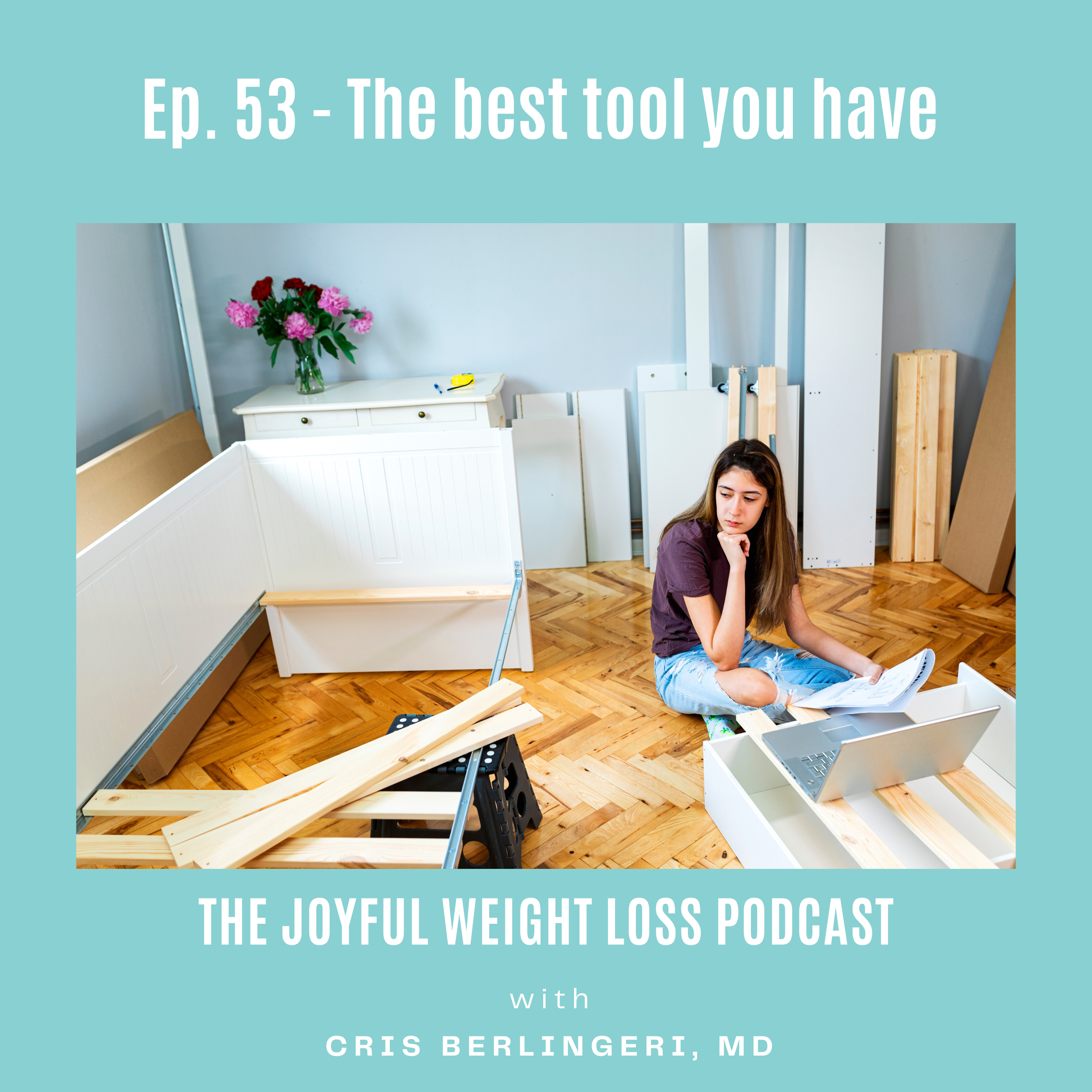 53. The Best Tool You Have  episode artwork