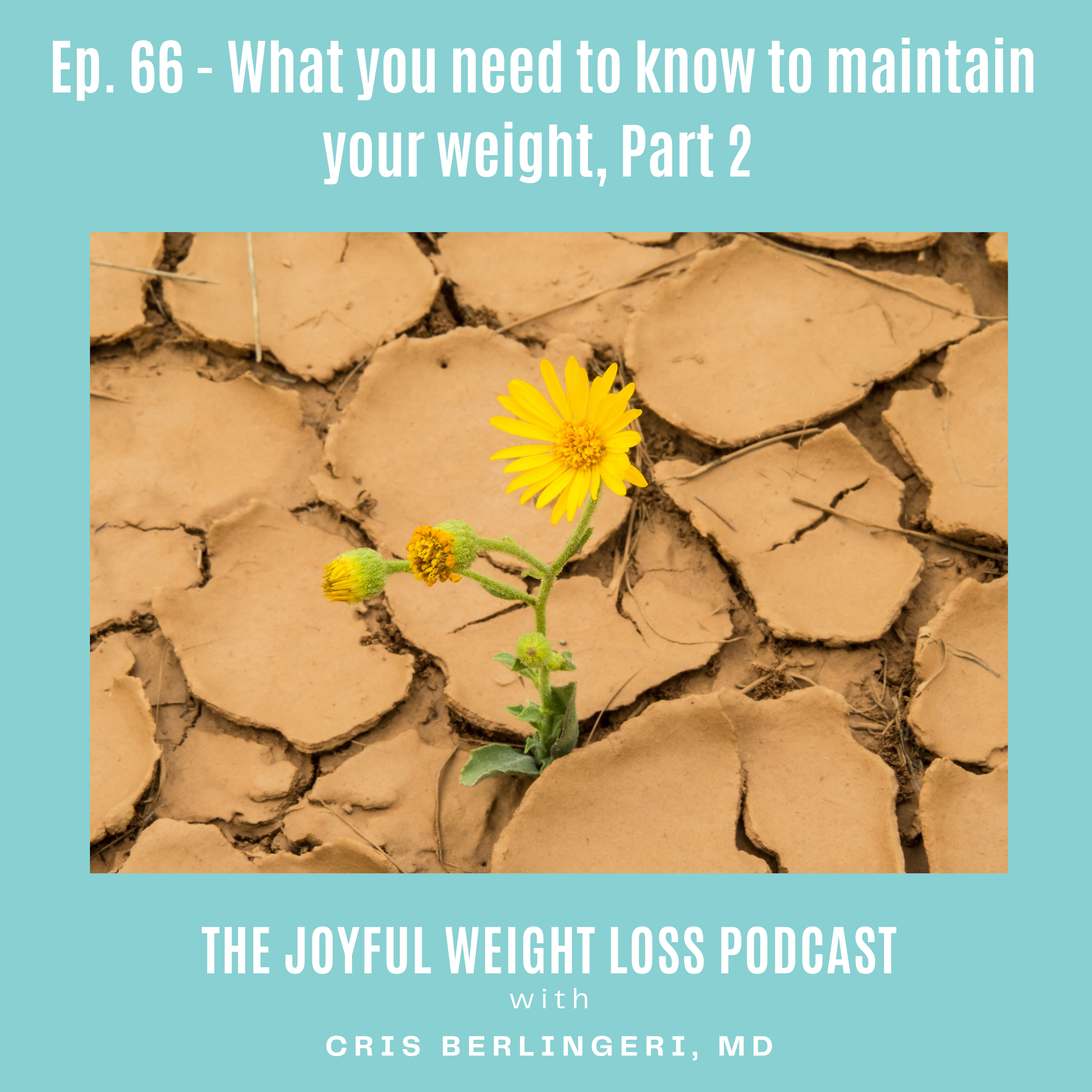 66. What You Need To Know To Maintain Your Weight, PT II