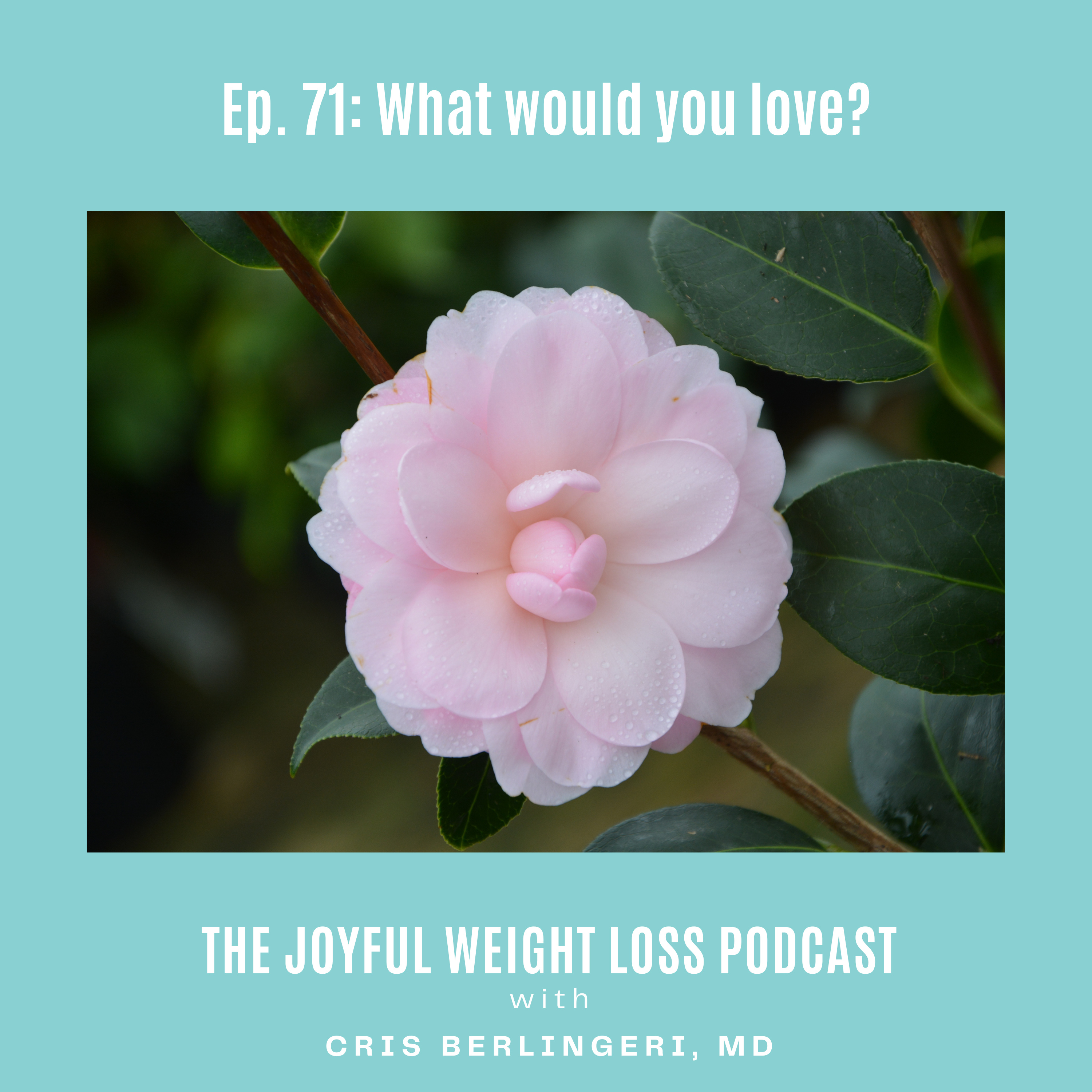 71. What Would You Love?  episode artwork
