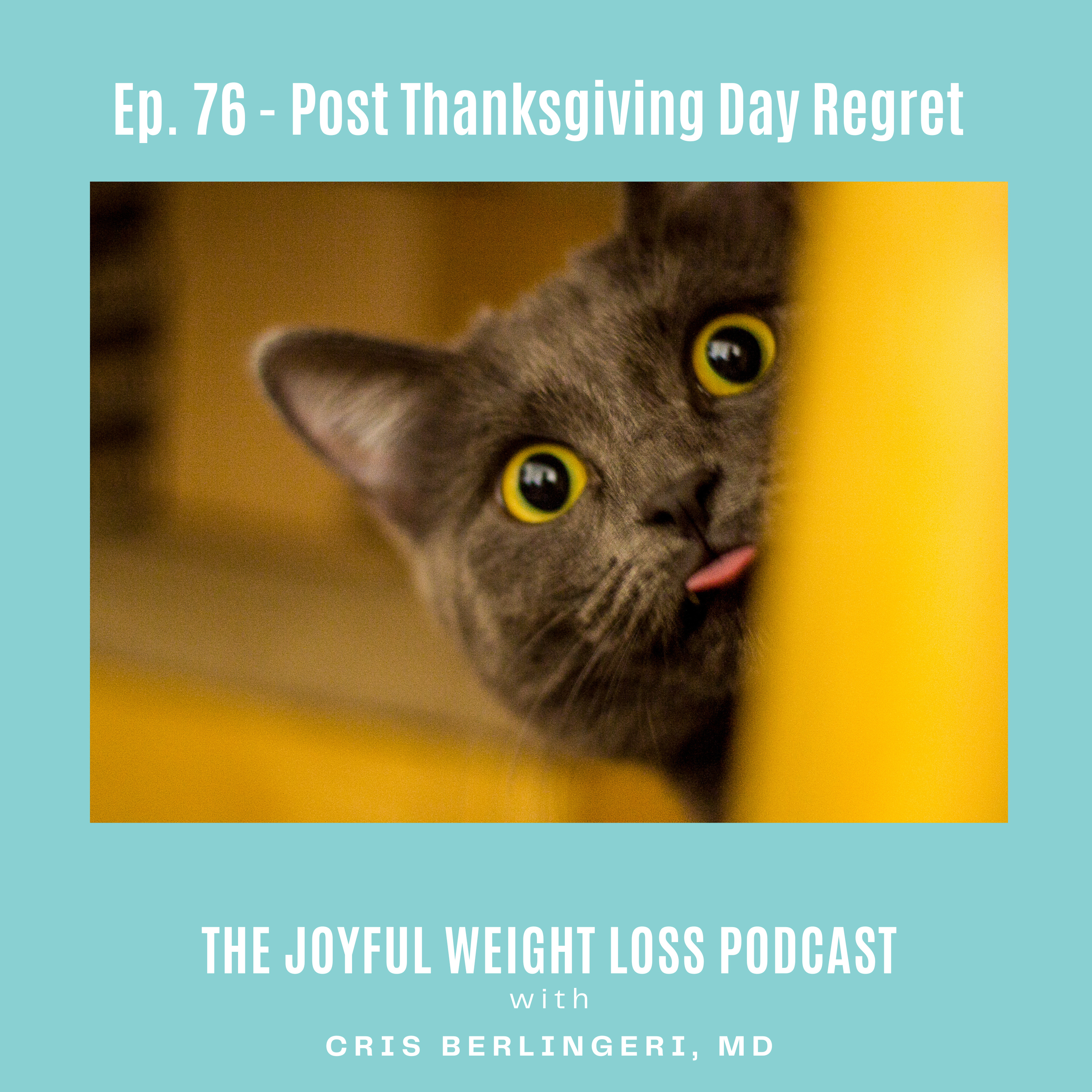 76. Post Thanksgiving Day Regret episode artwork