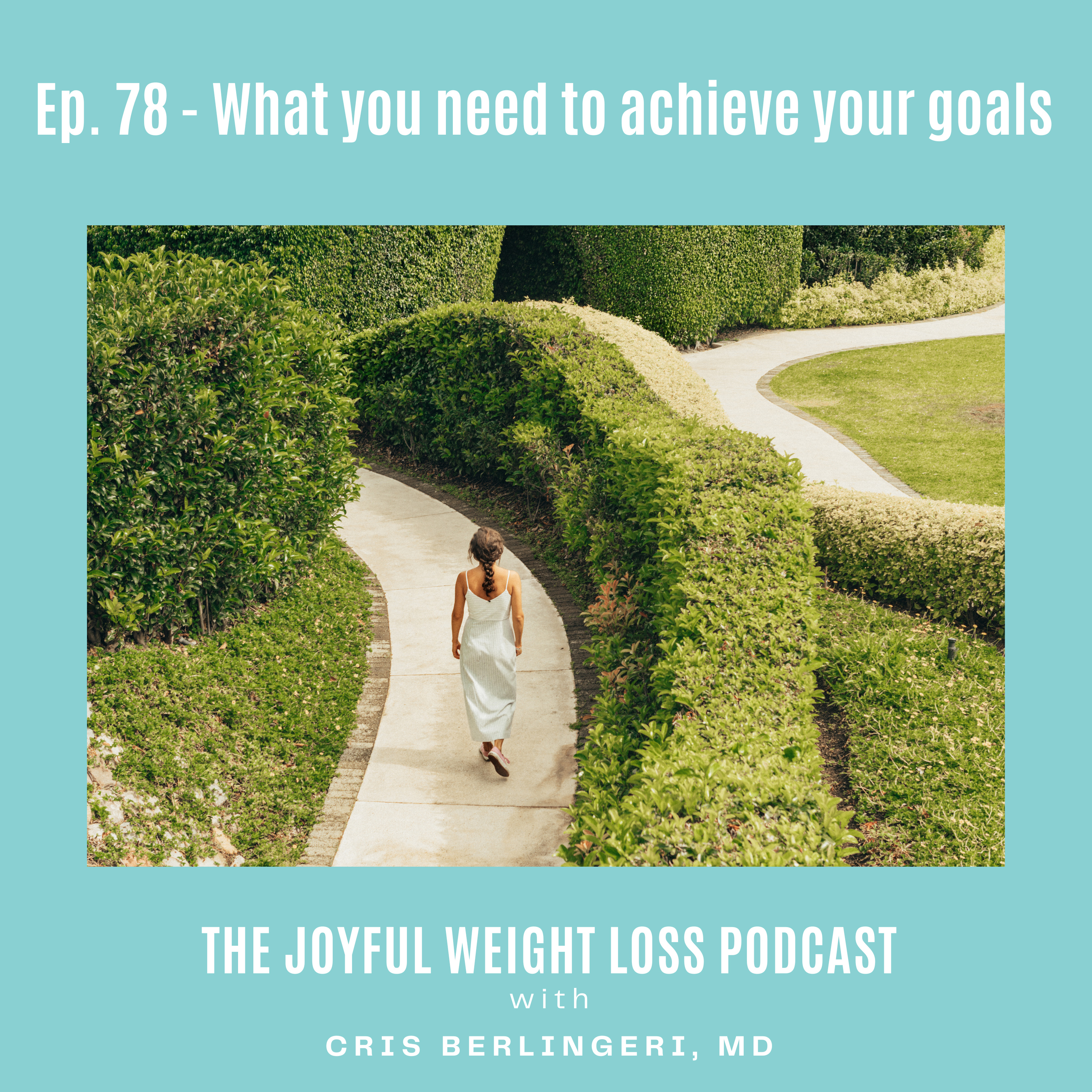 78. What You Need to Achieve Your Goals episode artwork
