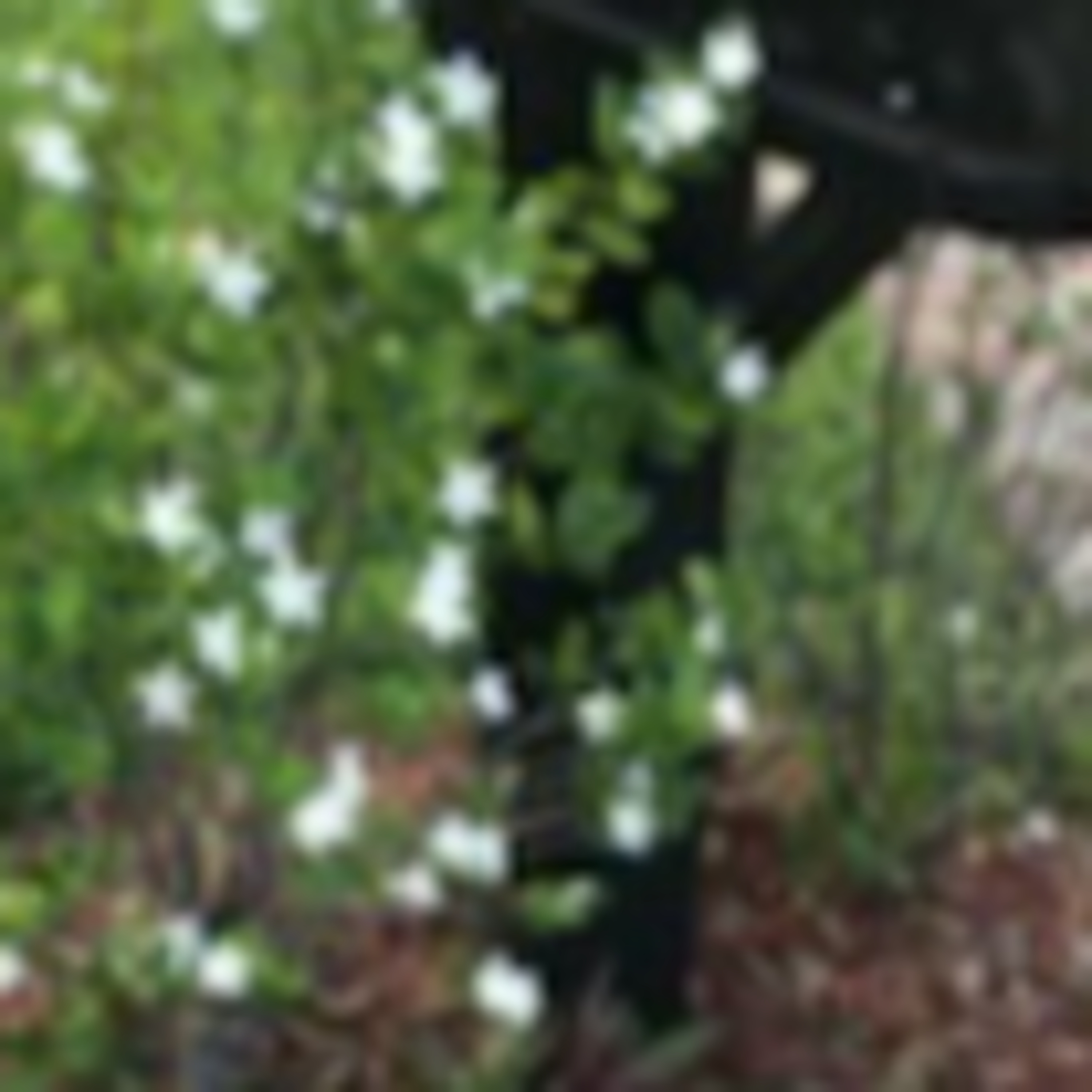 EP 6 | The Truth About 'Trust' | The Katy Weirich Podcast