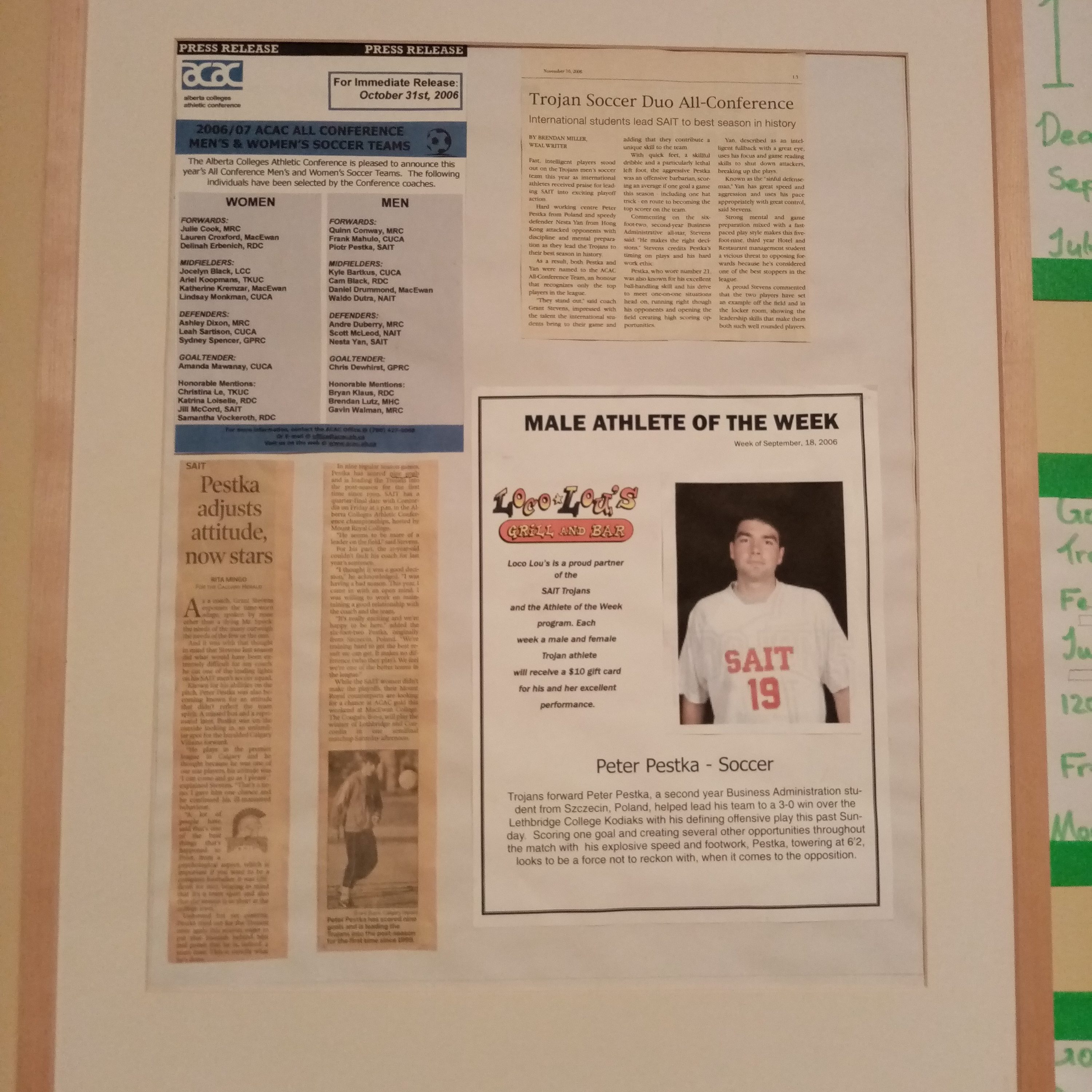 Welcome Earth Flamingos