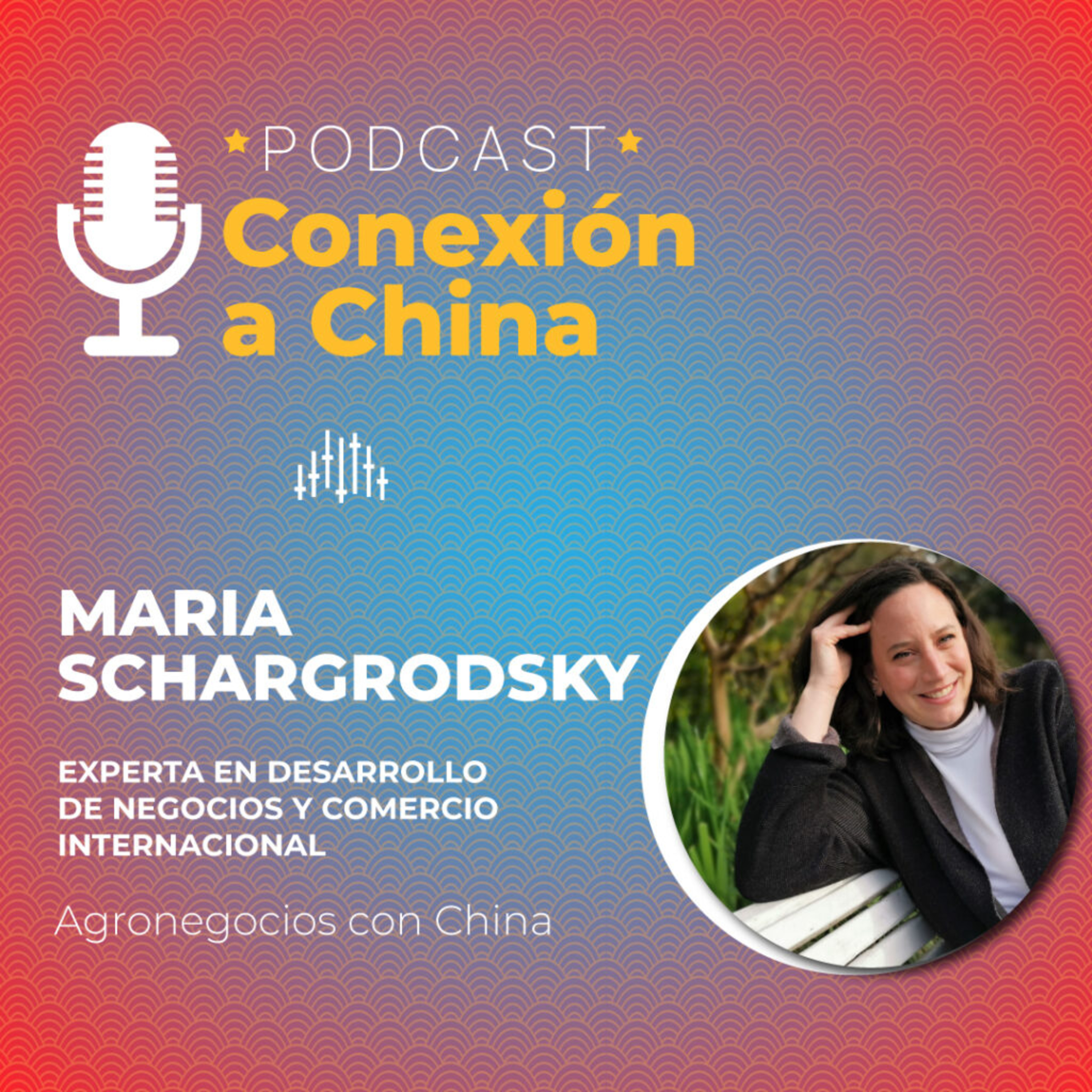 Cámara Argentino China para la Producción, la Industria y el Comercio