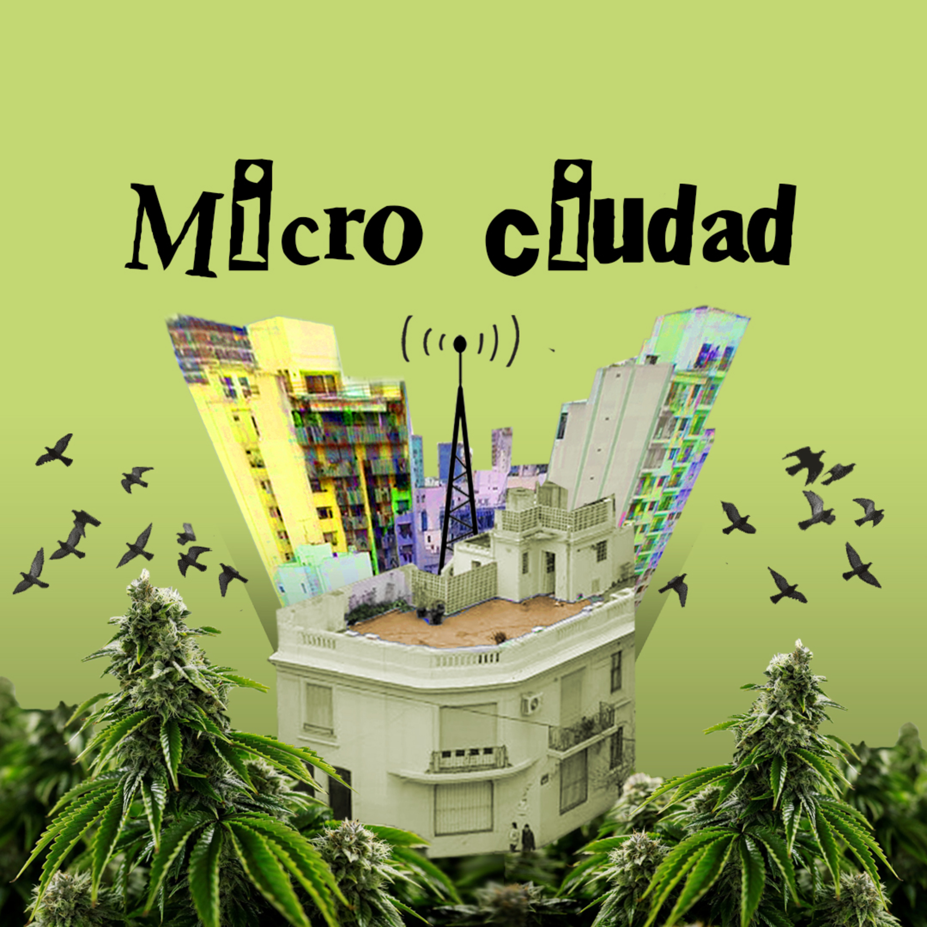 Cannabis medicinal episode artwork