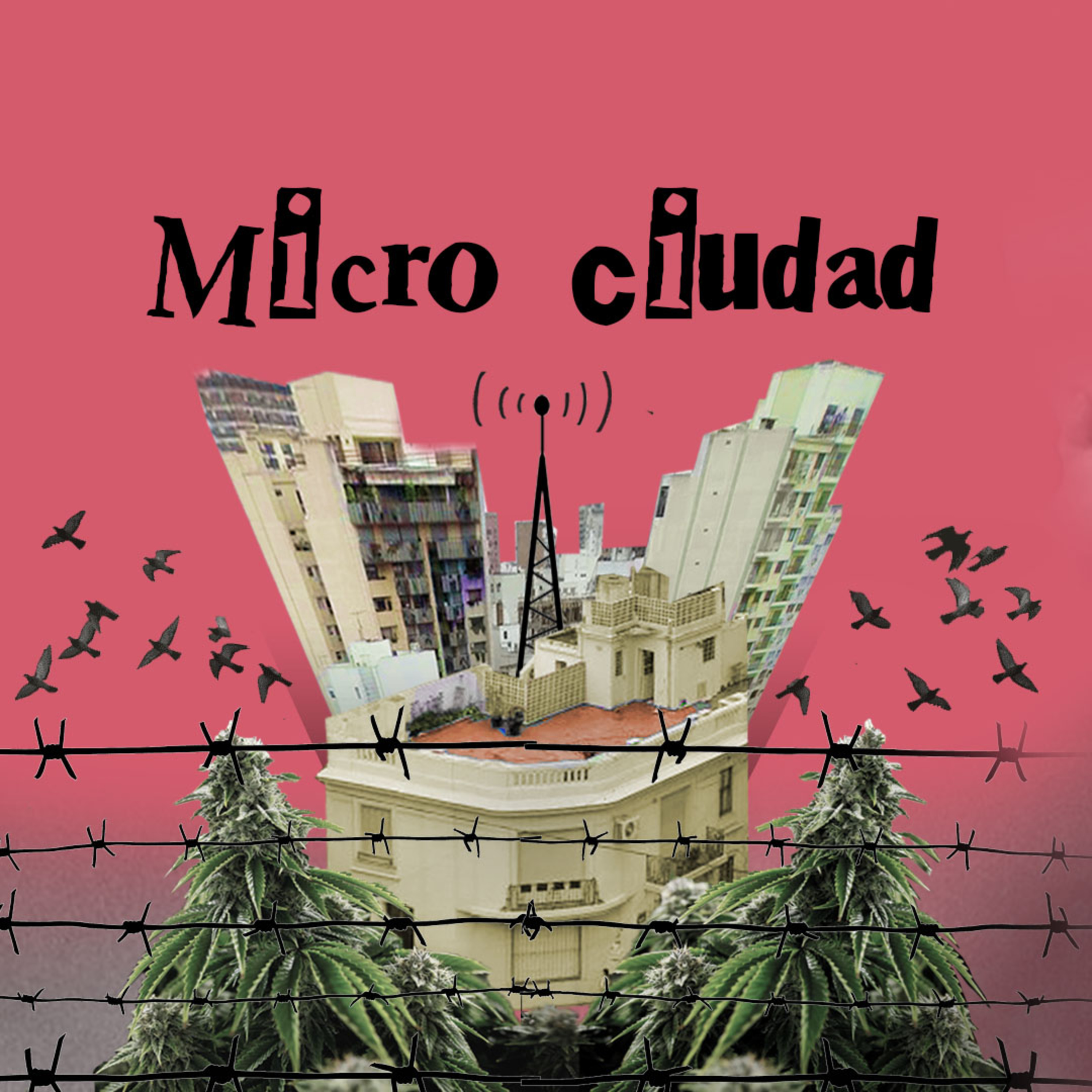 Cannabis industrial, nueva regulación y detenciones episode artwork