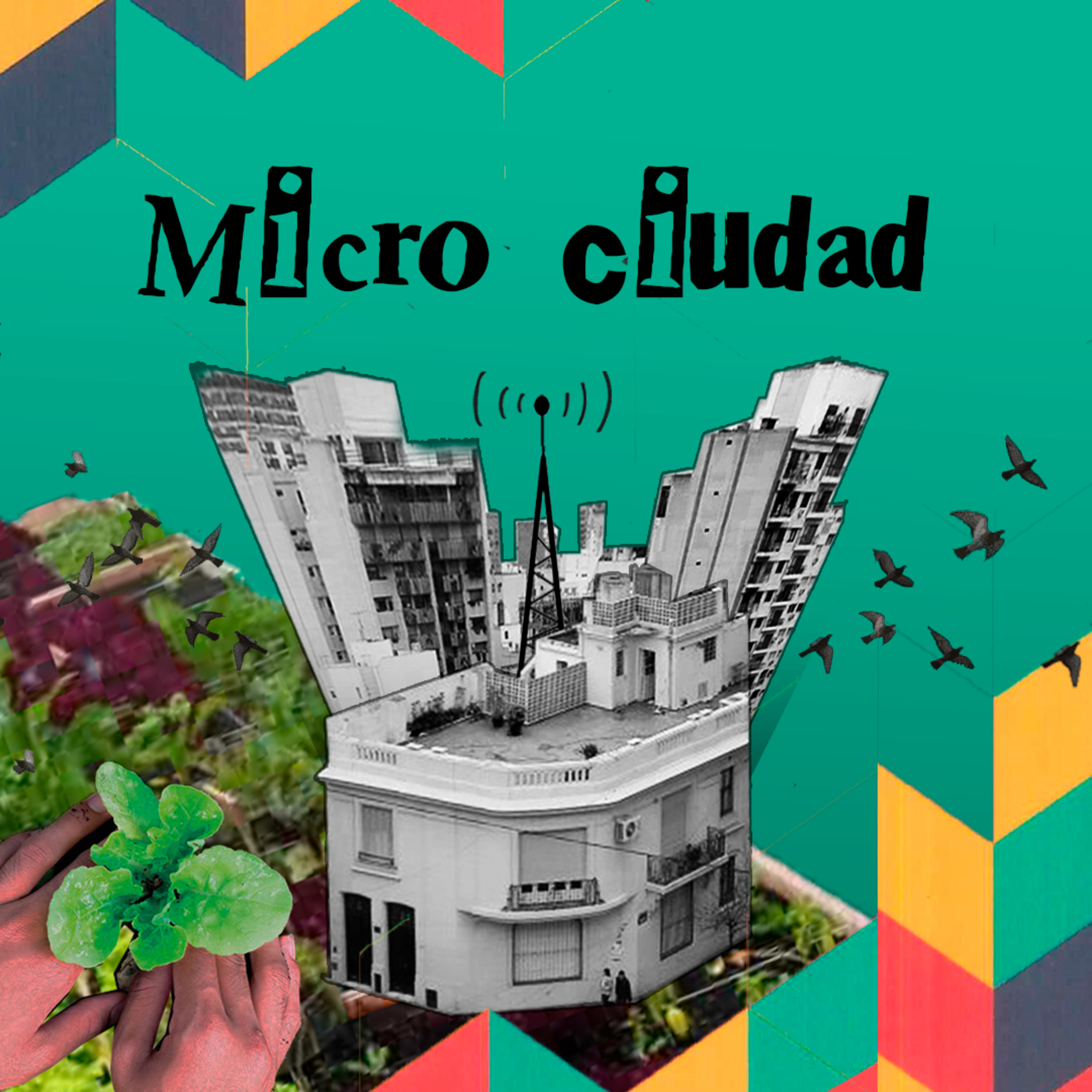 🌱Huertas urbanas: una disputa por el espacio público episode artwork
