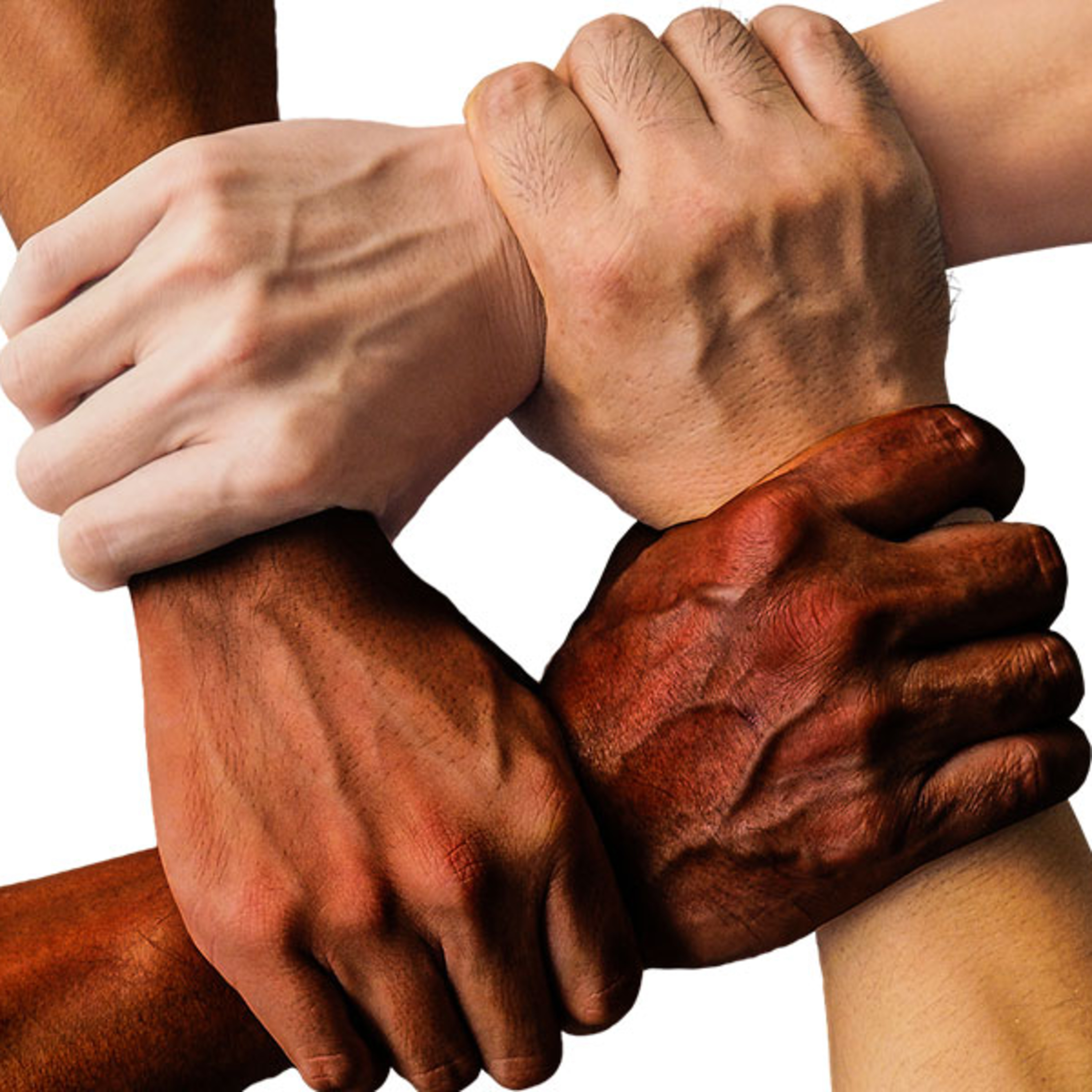 ¿Quiénes son los Aterciopelados?