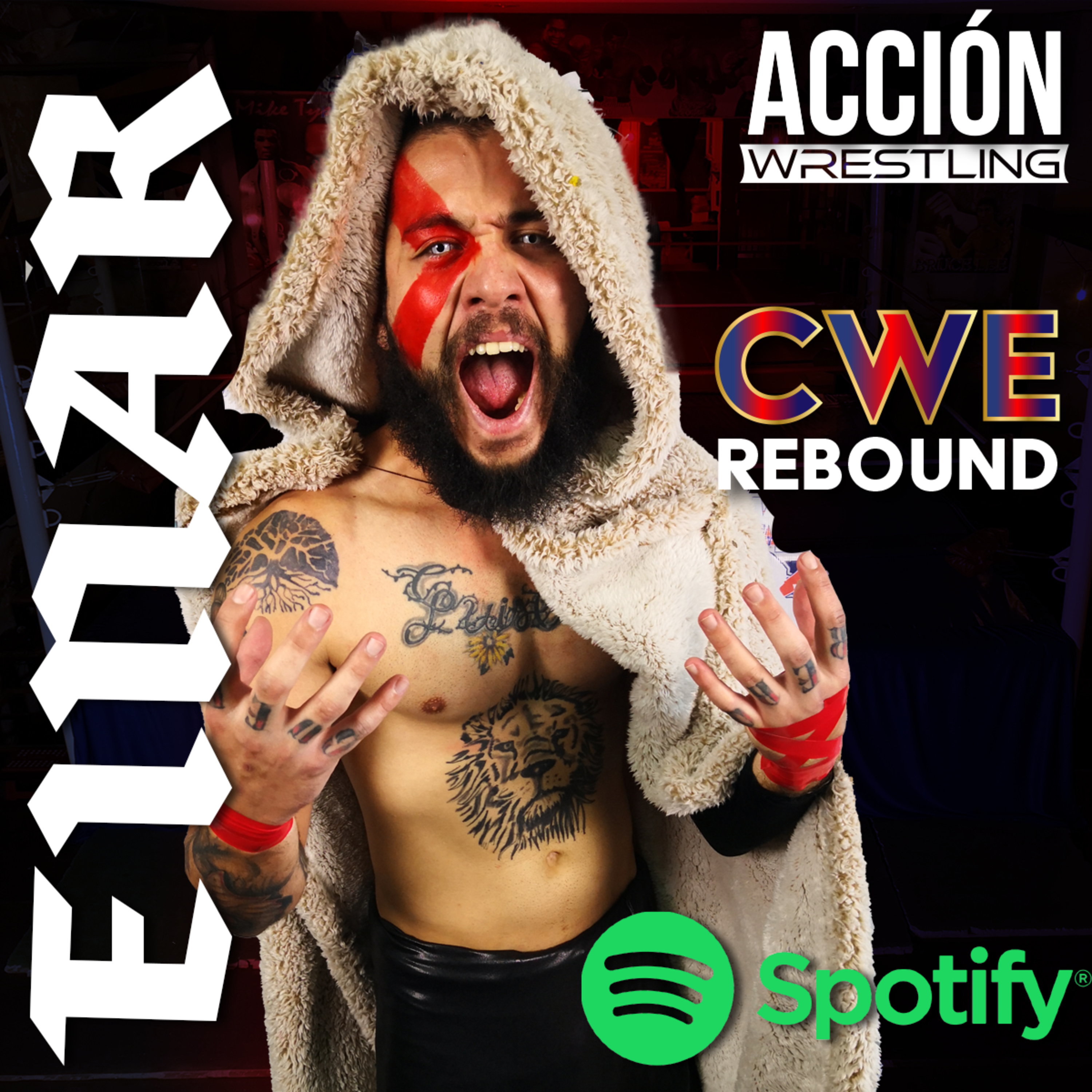 Acción Wrestling