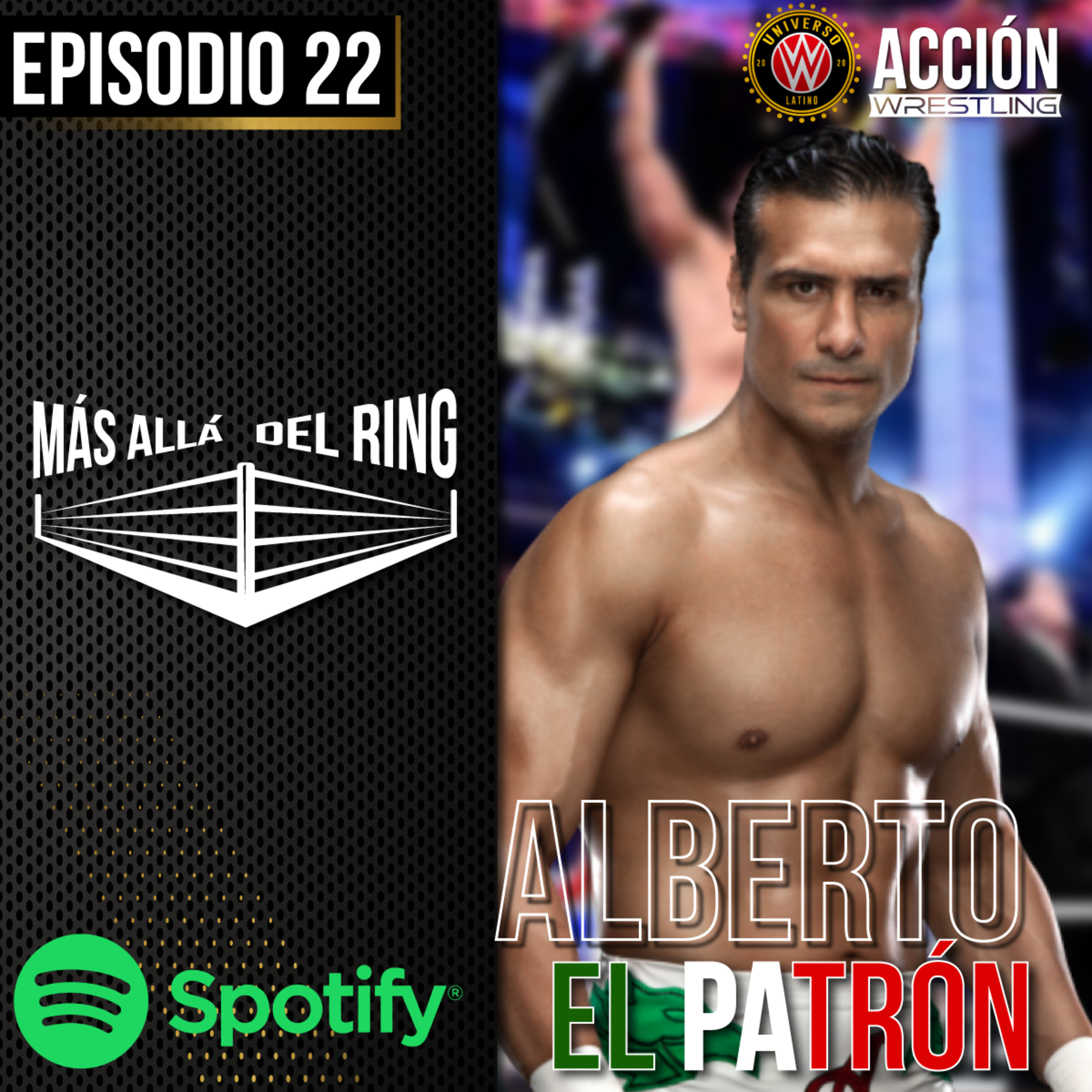 Acción Wrestling