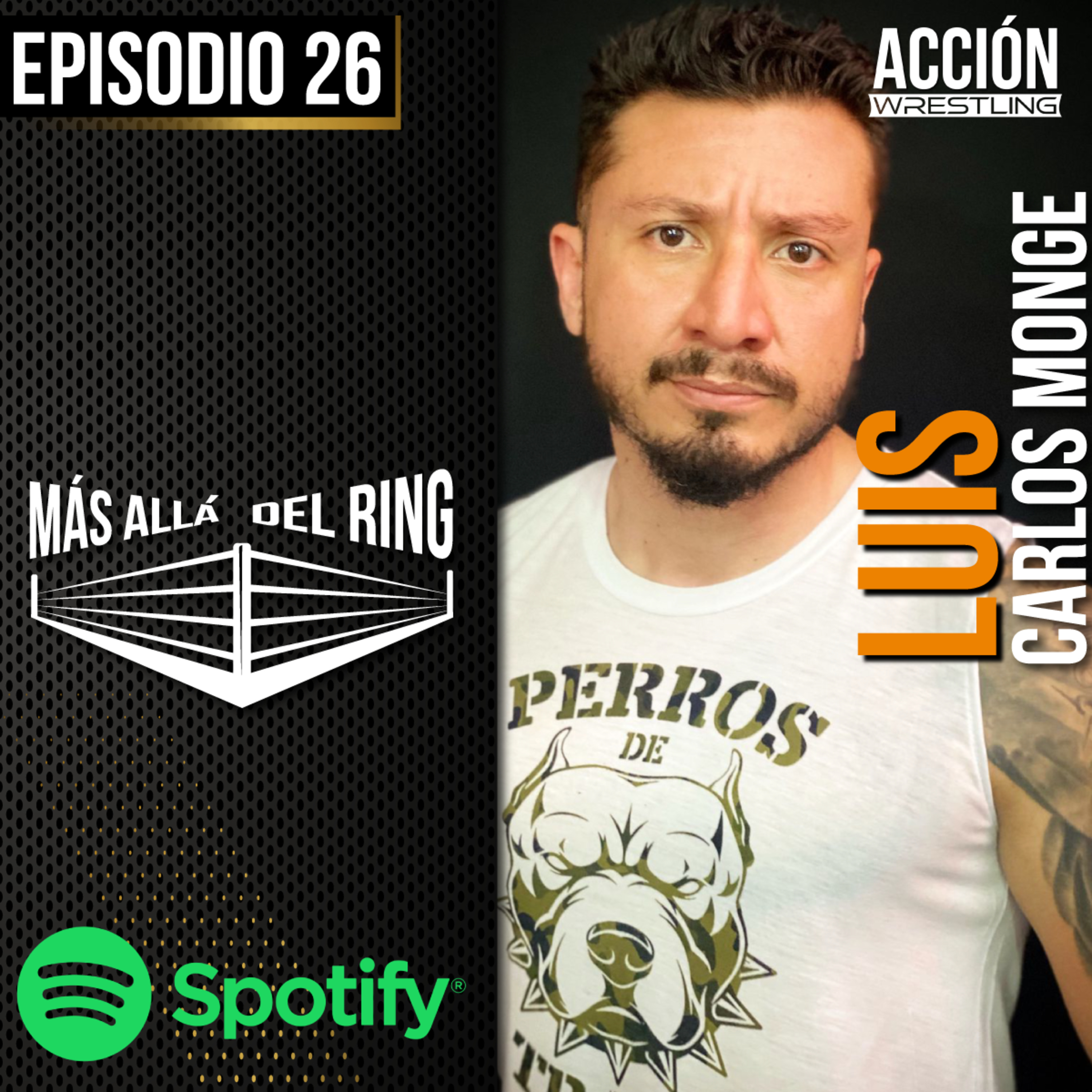 Acción Wrestling